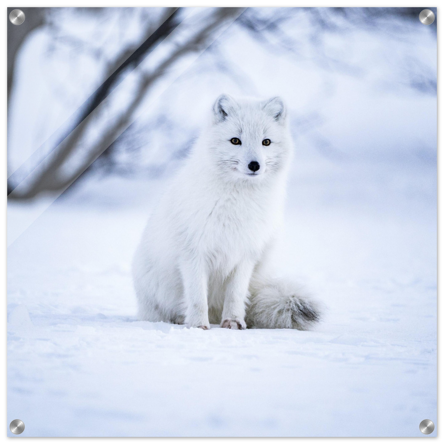 0957d036-9ebc-46cf-b47b-decab9b0d37e