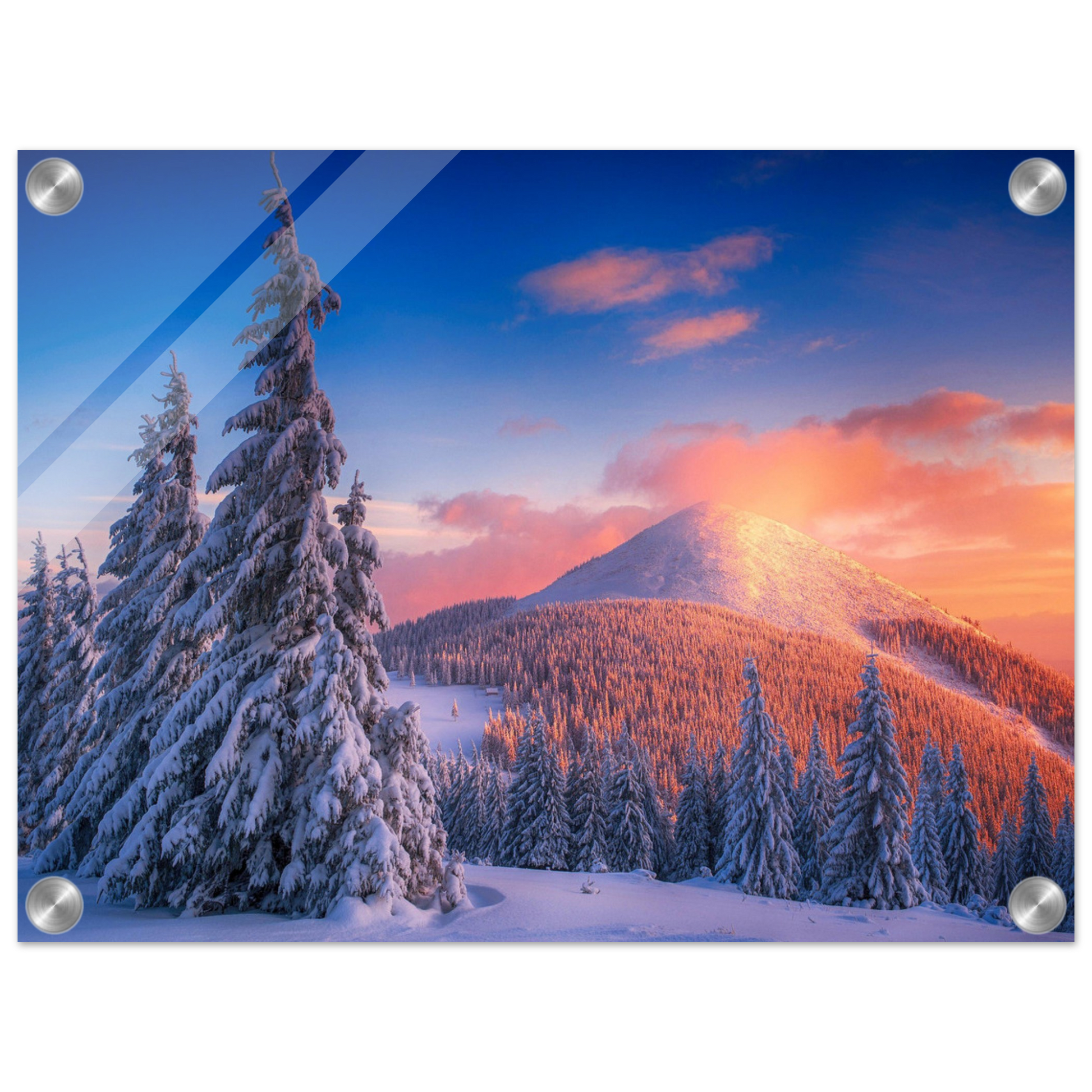 0c88214d-286b-4e11-9a30-96f07d9bd9c0