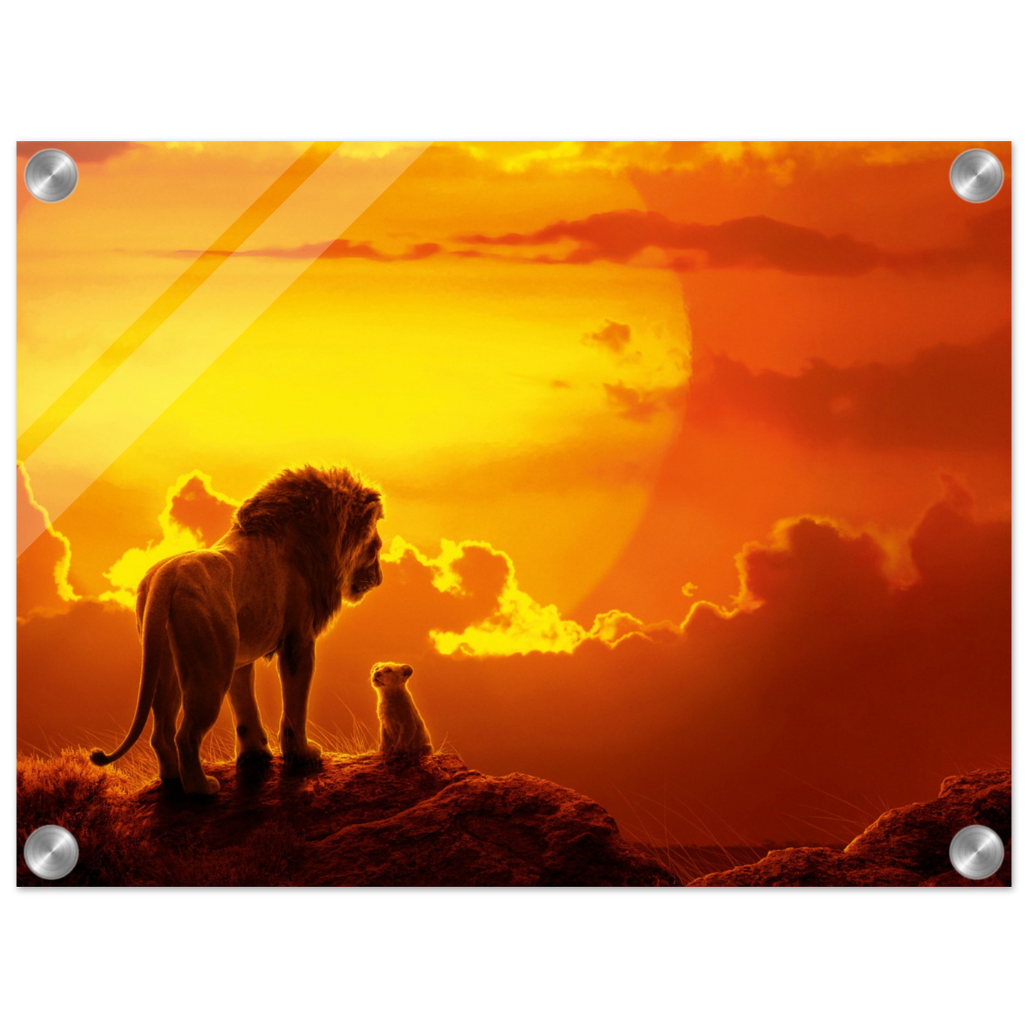 0ddf20f6-83a2-4471-ba81-df40efe8fd06