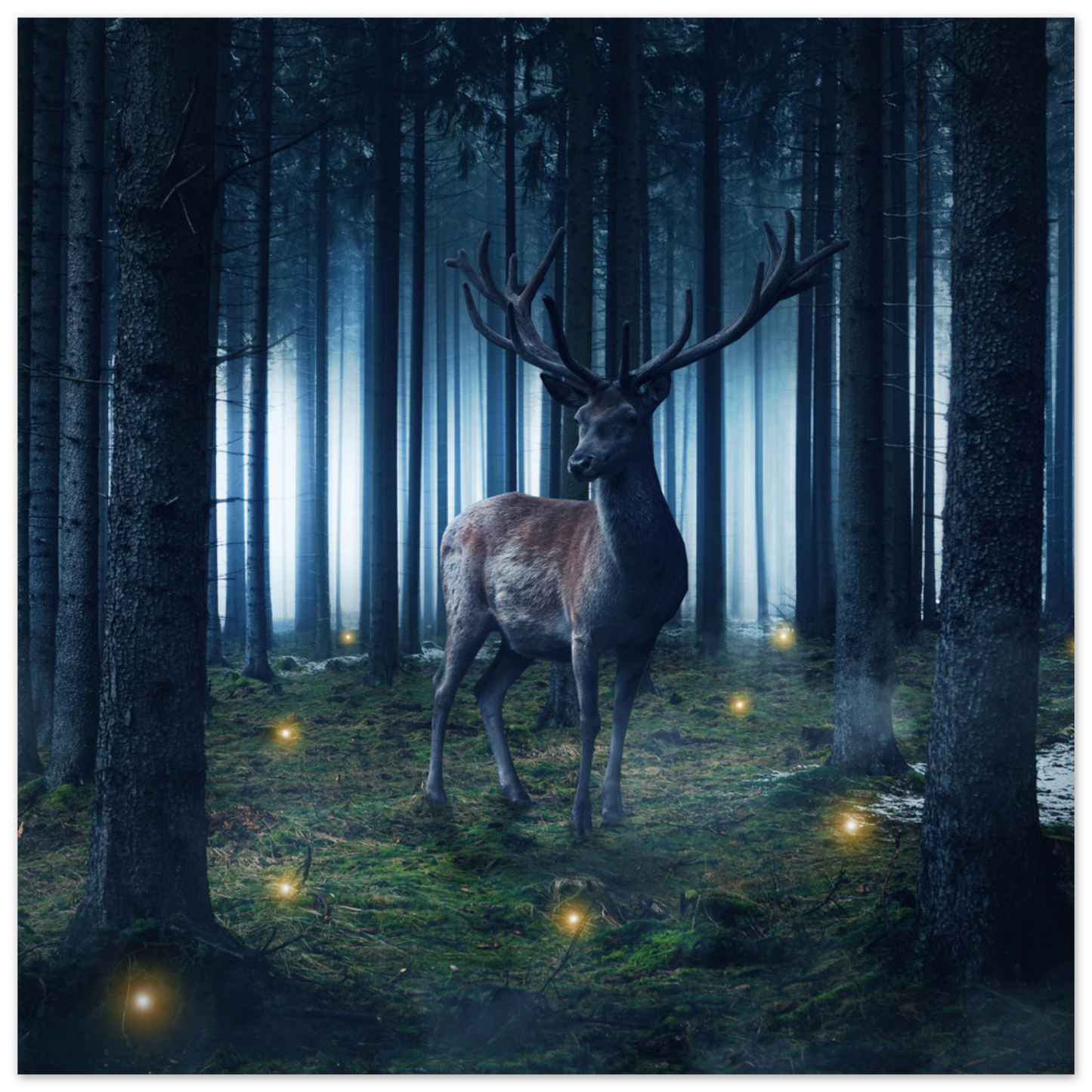 0ecb46c3-b073-4e2d-be3b-a2b8b2472d85