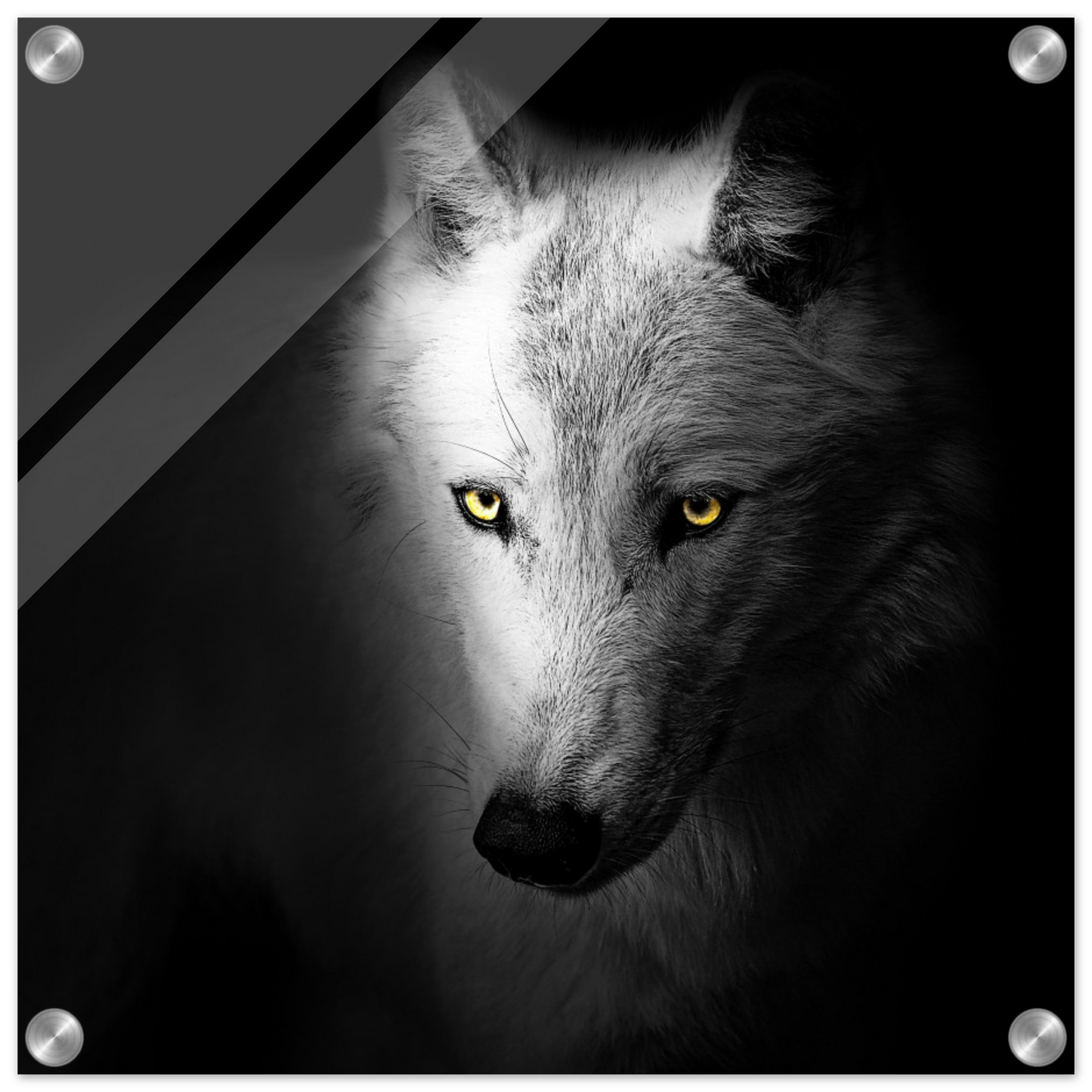 0f3efa28-b358-4941-be9a-a5af1b96731d