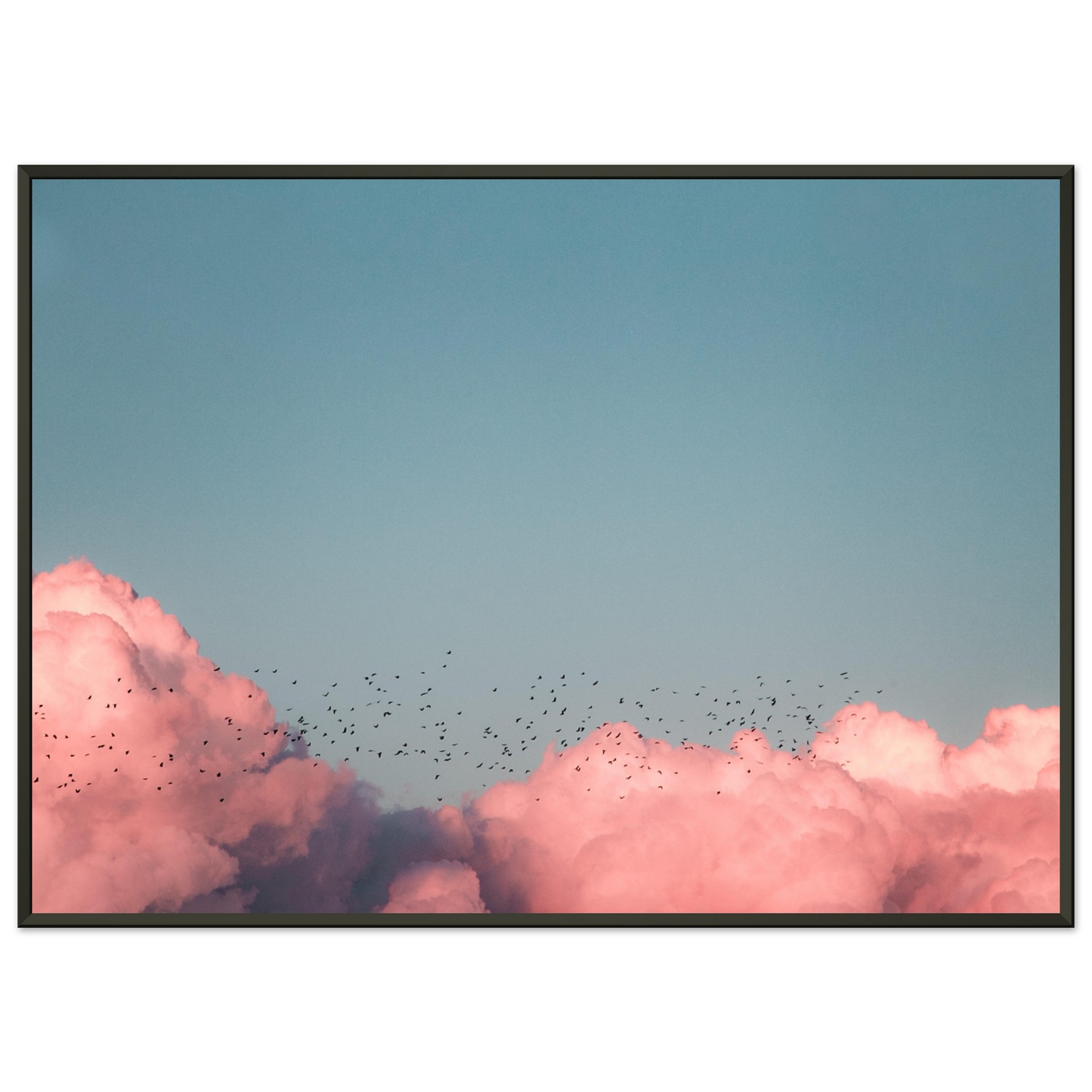 13cb7a72-516f-4bae-a512-bcc378172f28