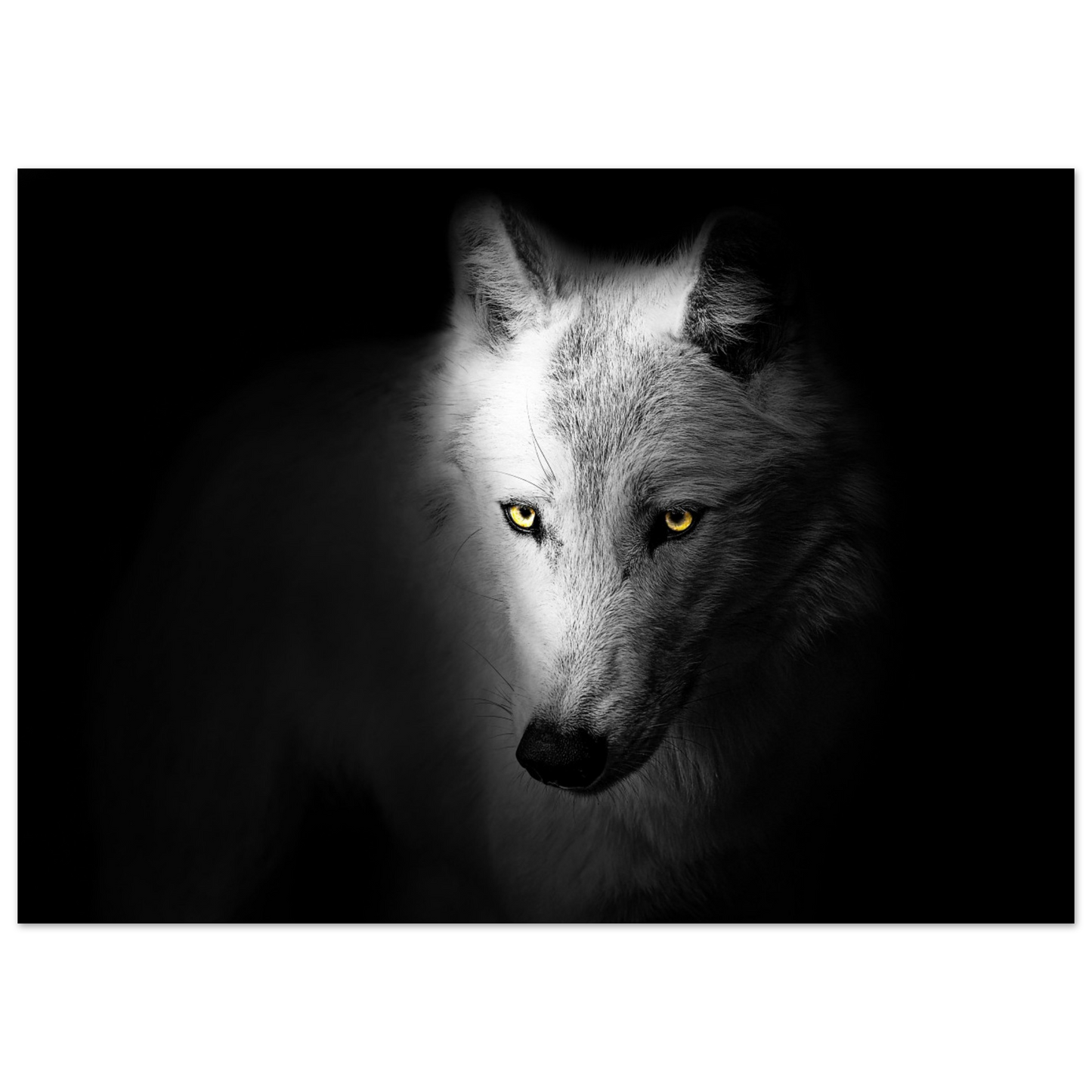 16738012-ba4d-4aff-9ef0-d5457d208c2c