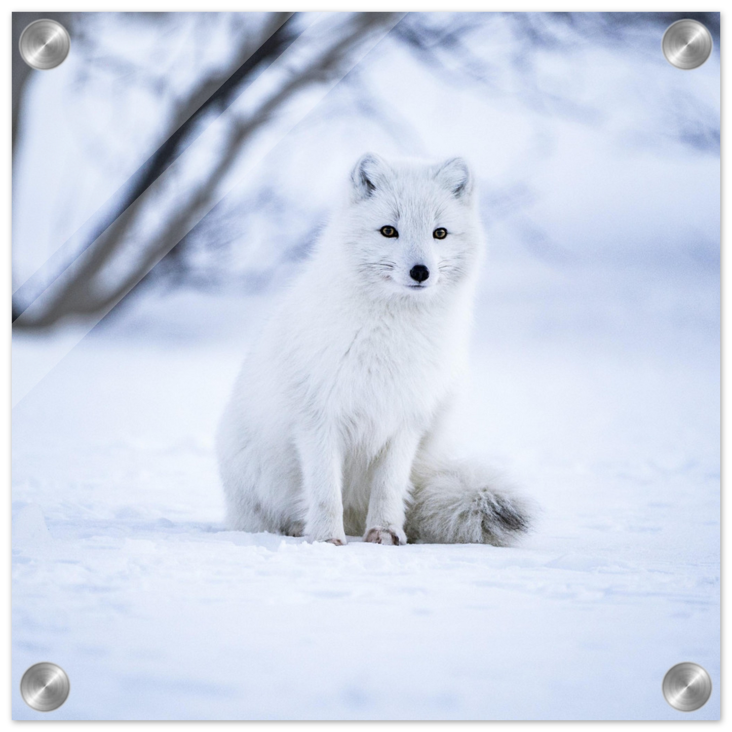 1681caa6-a7b4-459e-85aa-58f3f5ec2d54