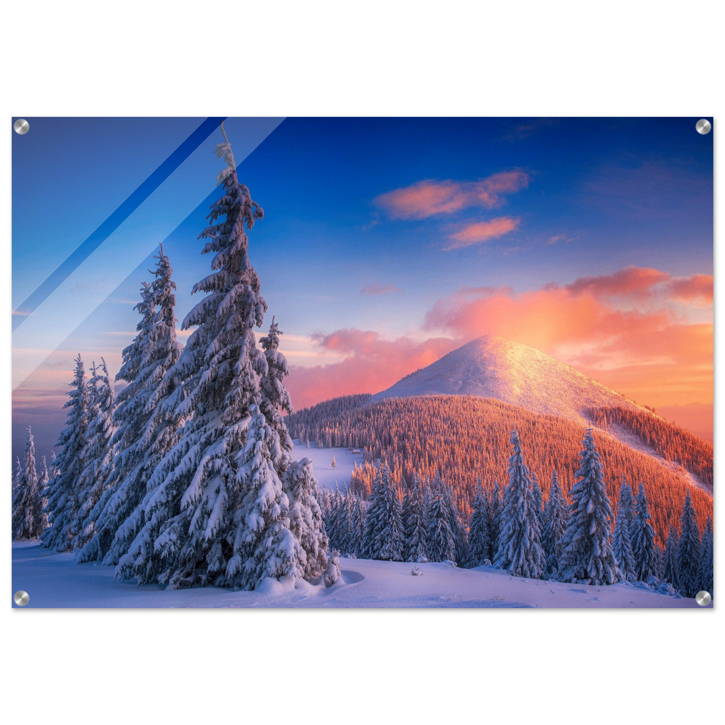 1a8f157d-0fcc-45ce-8f67-b7ff2692d6a6