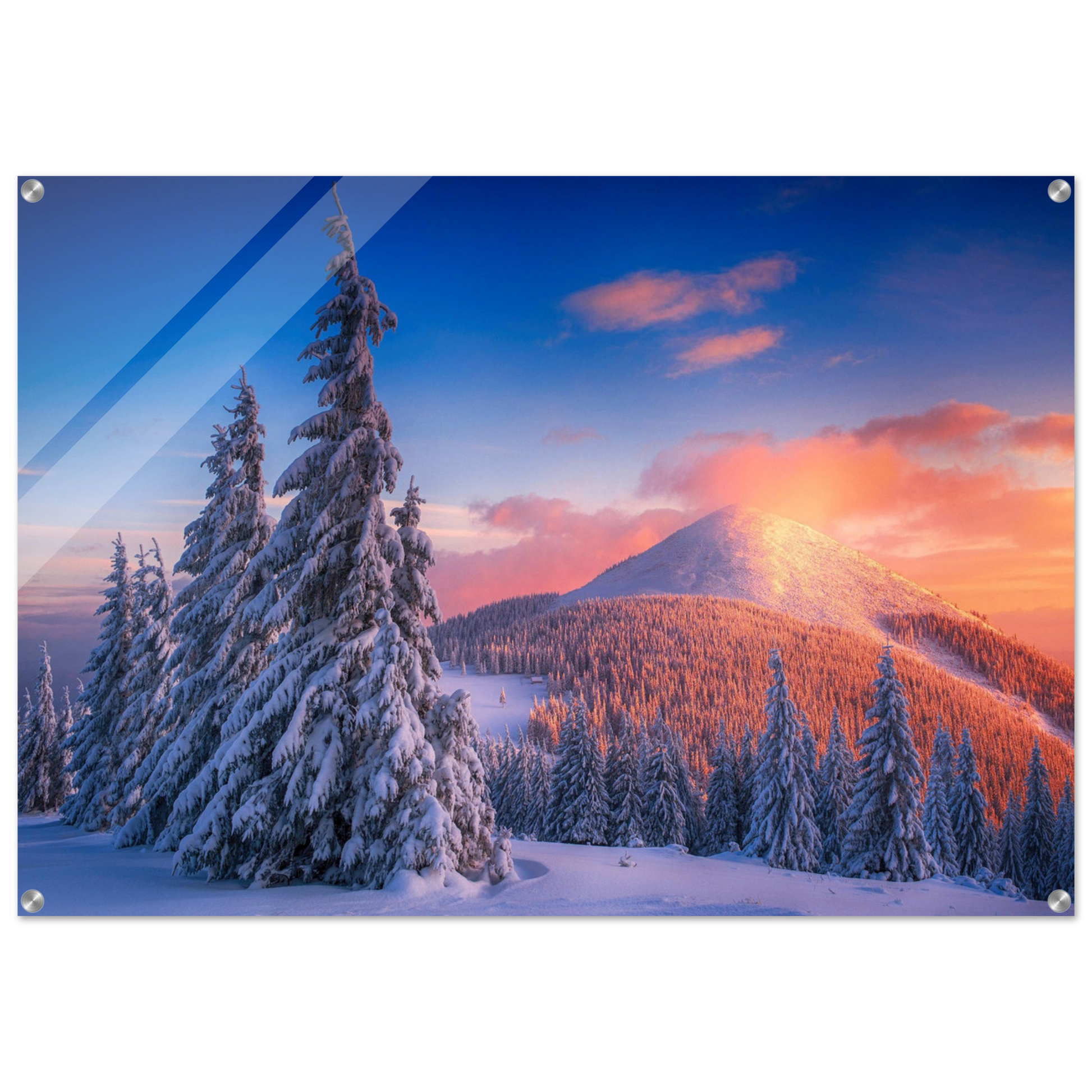 1a8f157d-0fcc-45ce-8f67-b7ff2692d6a6