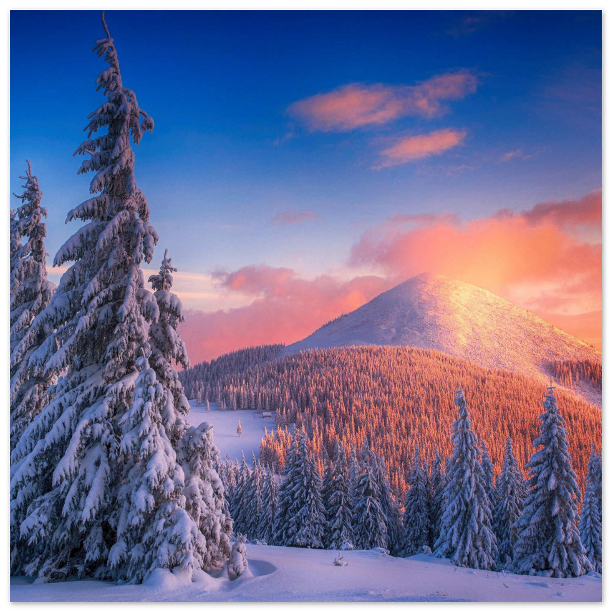 1bf2643f-e954-467c-9d34-30f3055844bb