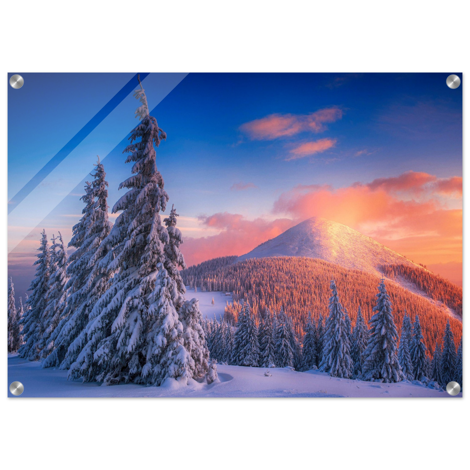 1c1f6c3f-b379-4acd-8599-80c9c72042df