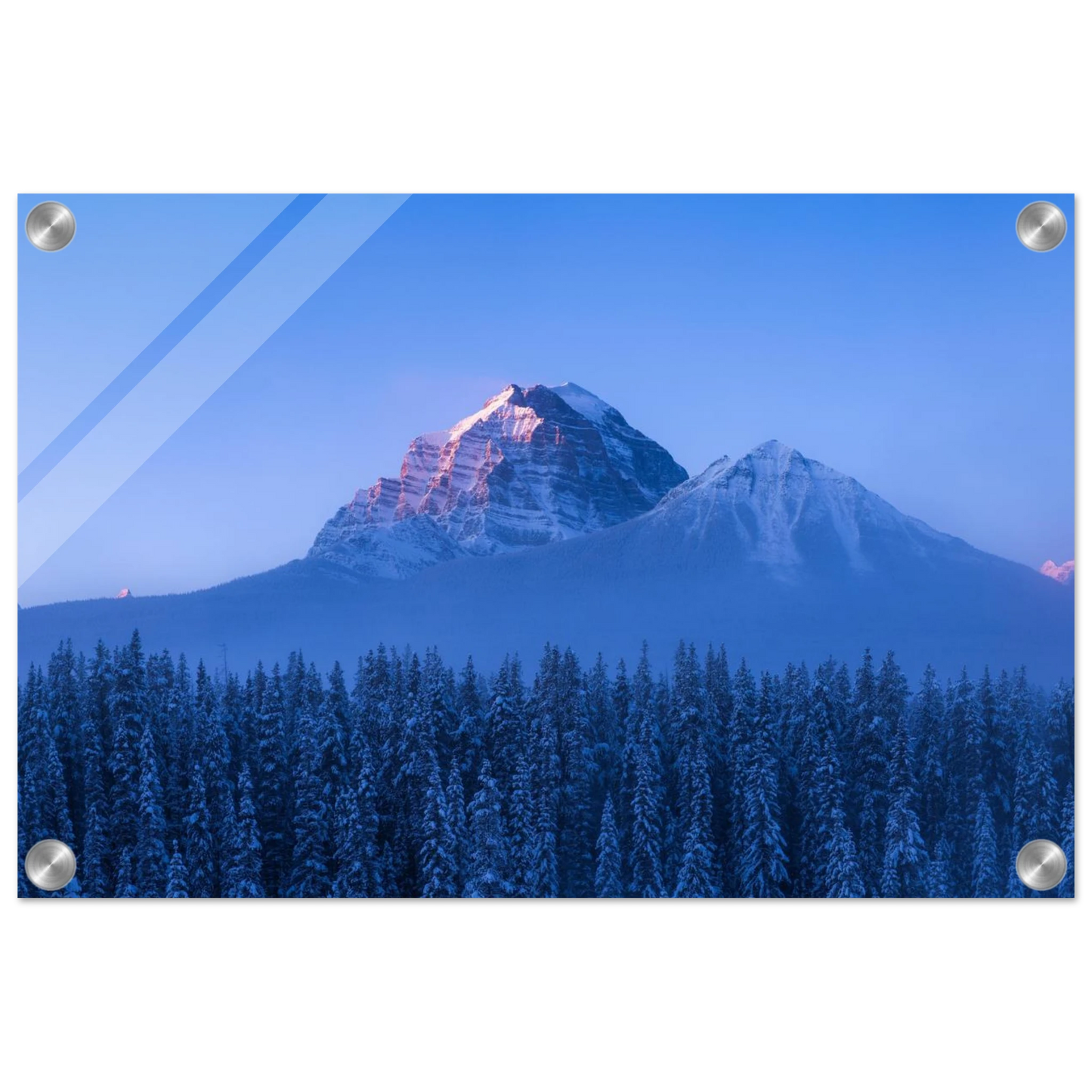 257c7247-8fec-4670-b671-cddd35140520