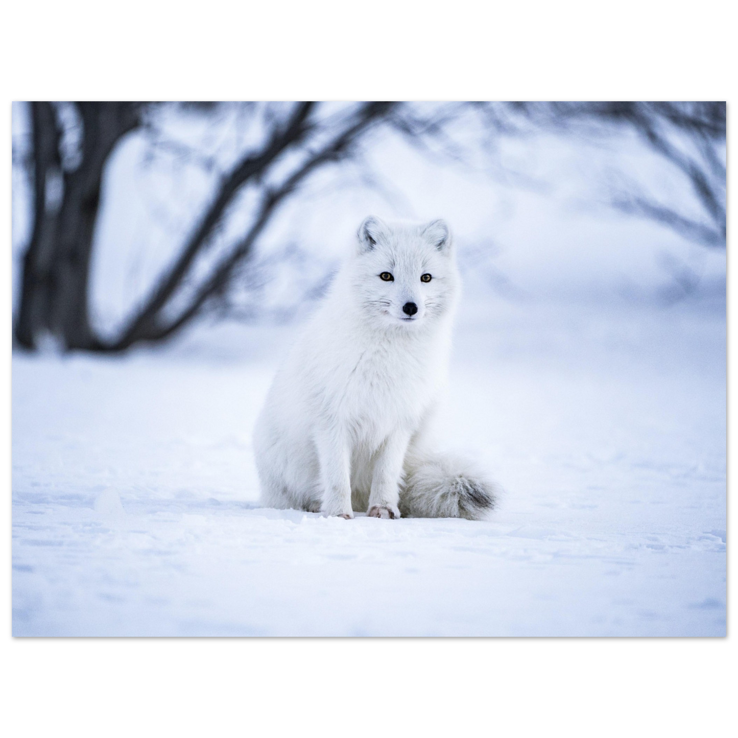 2770ddf9-8f4b-4690-a48c-72b26f4f2bec
