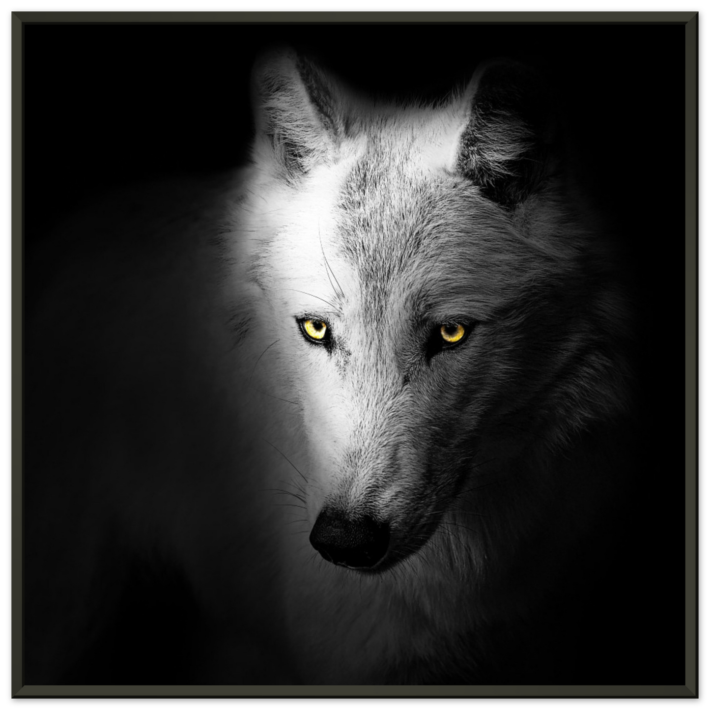 297175a3-6324-46b2-be7f-5f0d85b6bec6