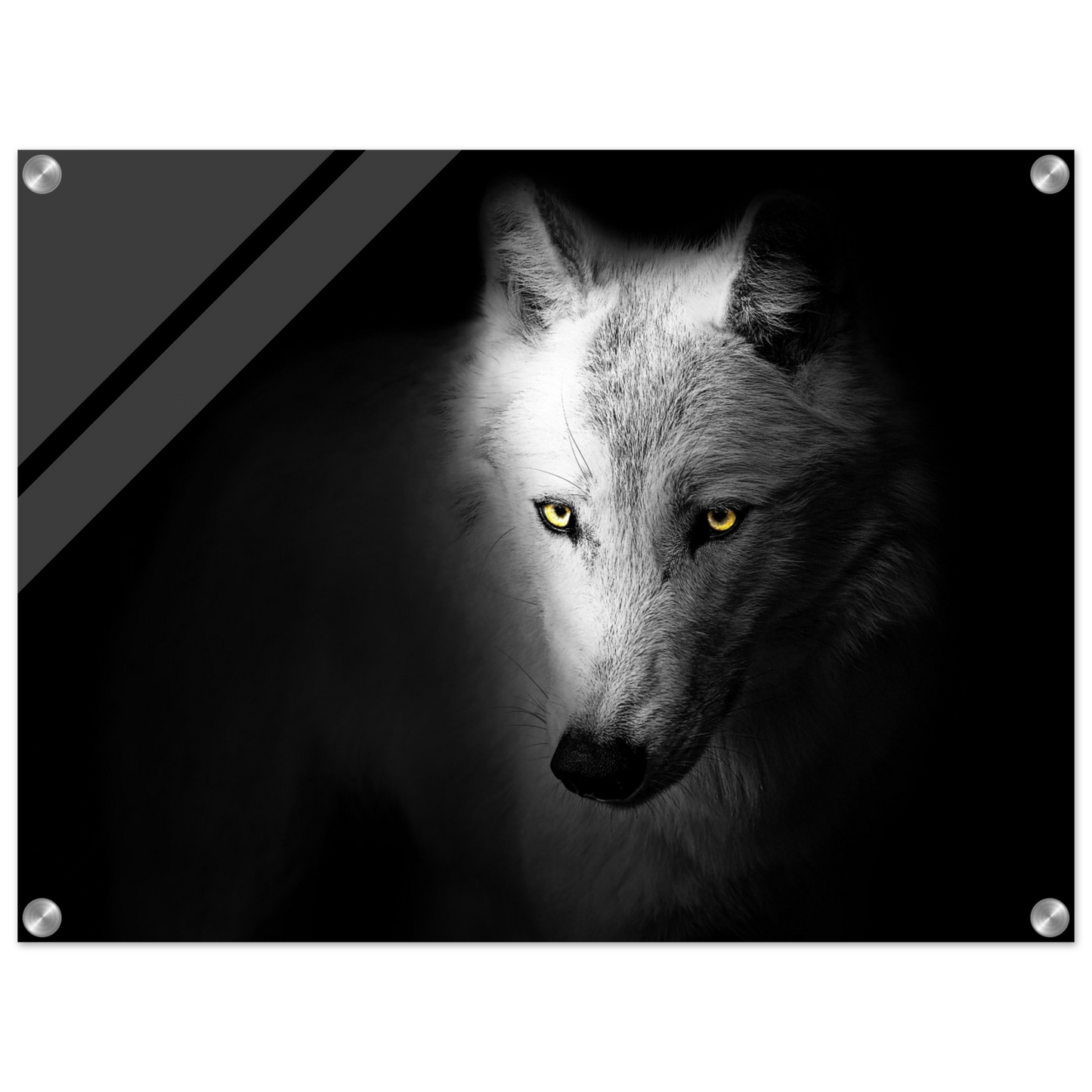 2c8acaee-2927-40d4-8393-74dc8379e76f