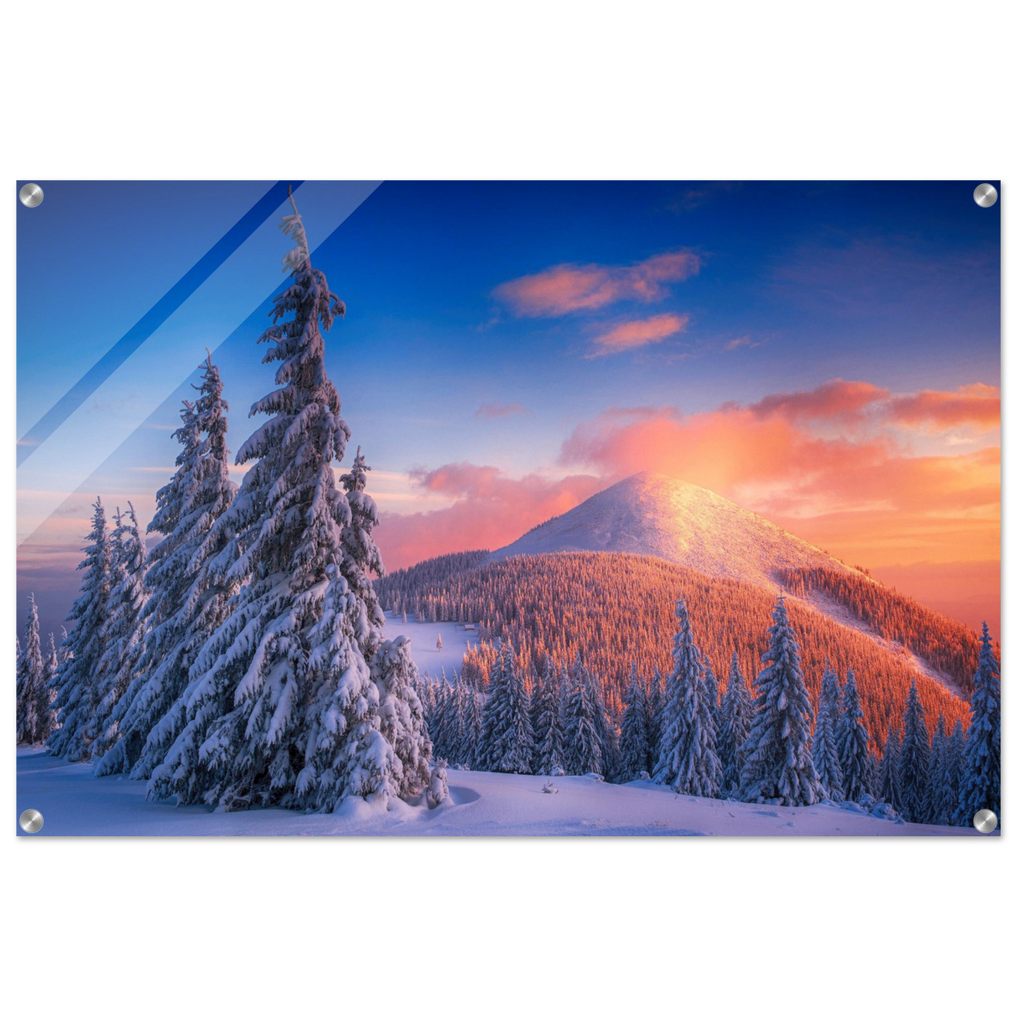 2ee57a35-e349-4822-b4b6-0cb3710f4aa4