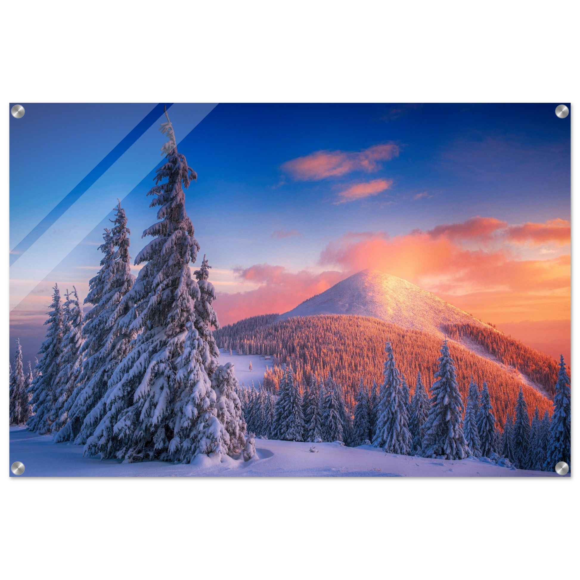 2ee57a35-e349-4822-b4b6-0cb3710f4aa4
