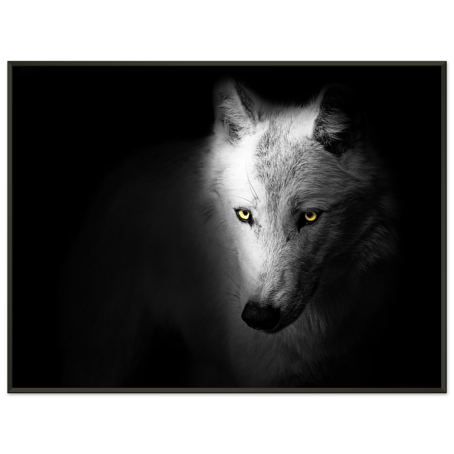 3c3e66f9-94df-4806-829c-1215f44ca5b8