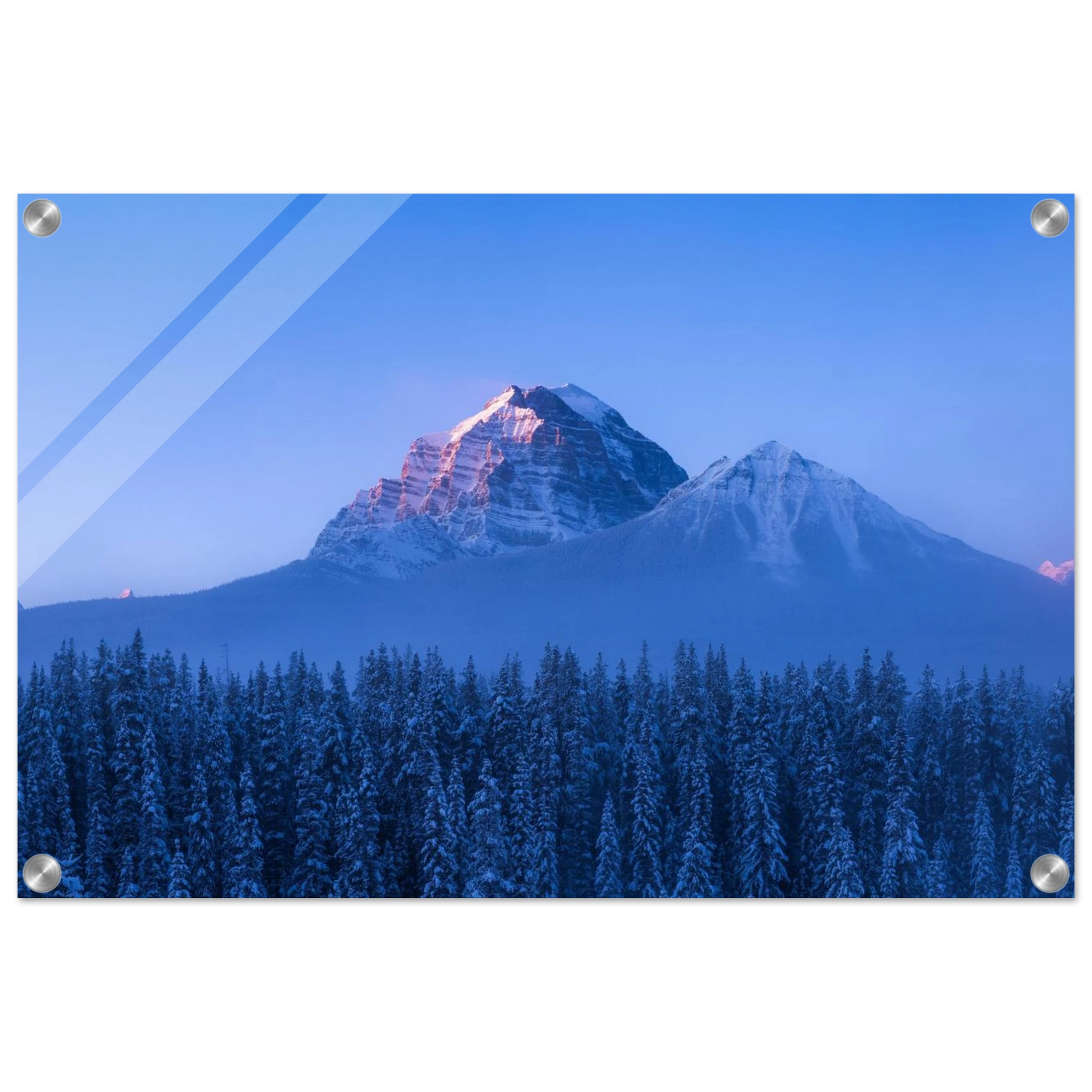 3cbfc1cd-f4ca-4425-8f11-ce929ec125d5