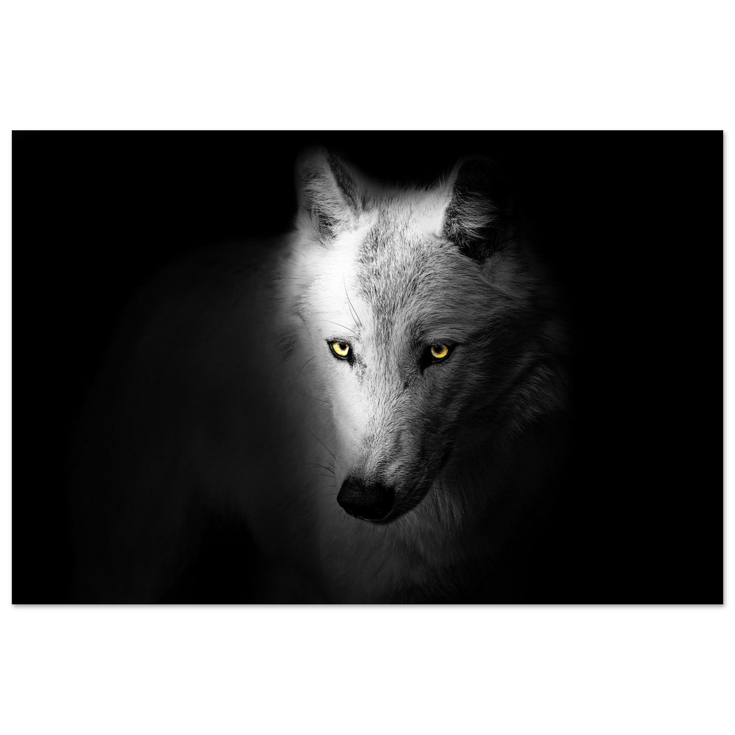 4b79f26b-d7f0-4609-b2e9-cdeabf5093a0