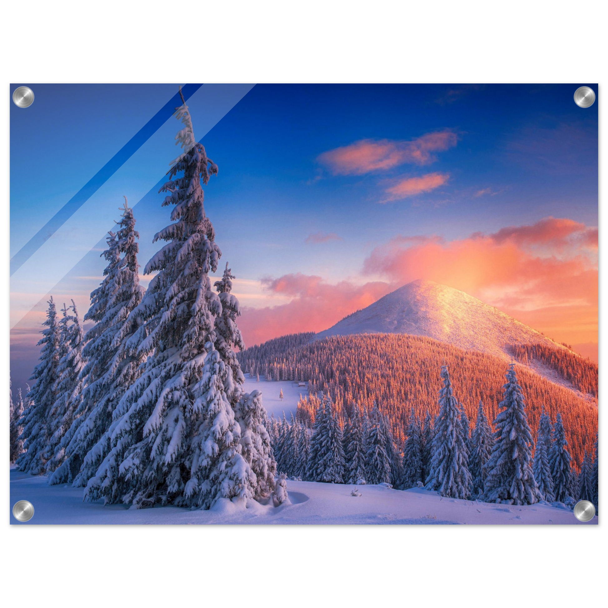 4d3580e8-34d8-47b5-88f9-6dcf341bc31a