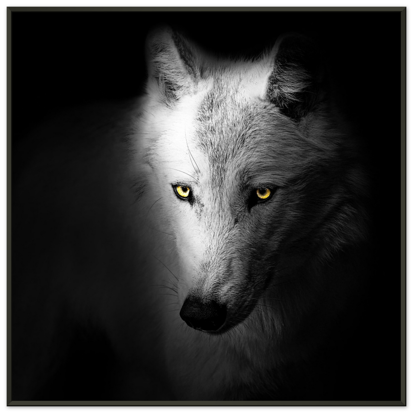 68cbdc6f-c2c7-40be-9691-40118873b370