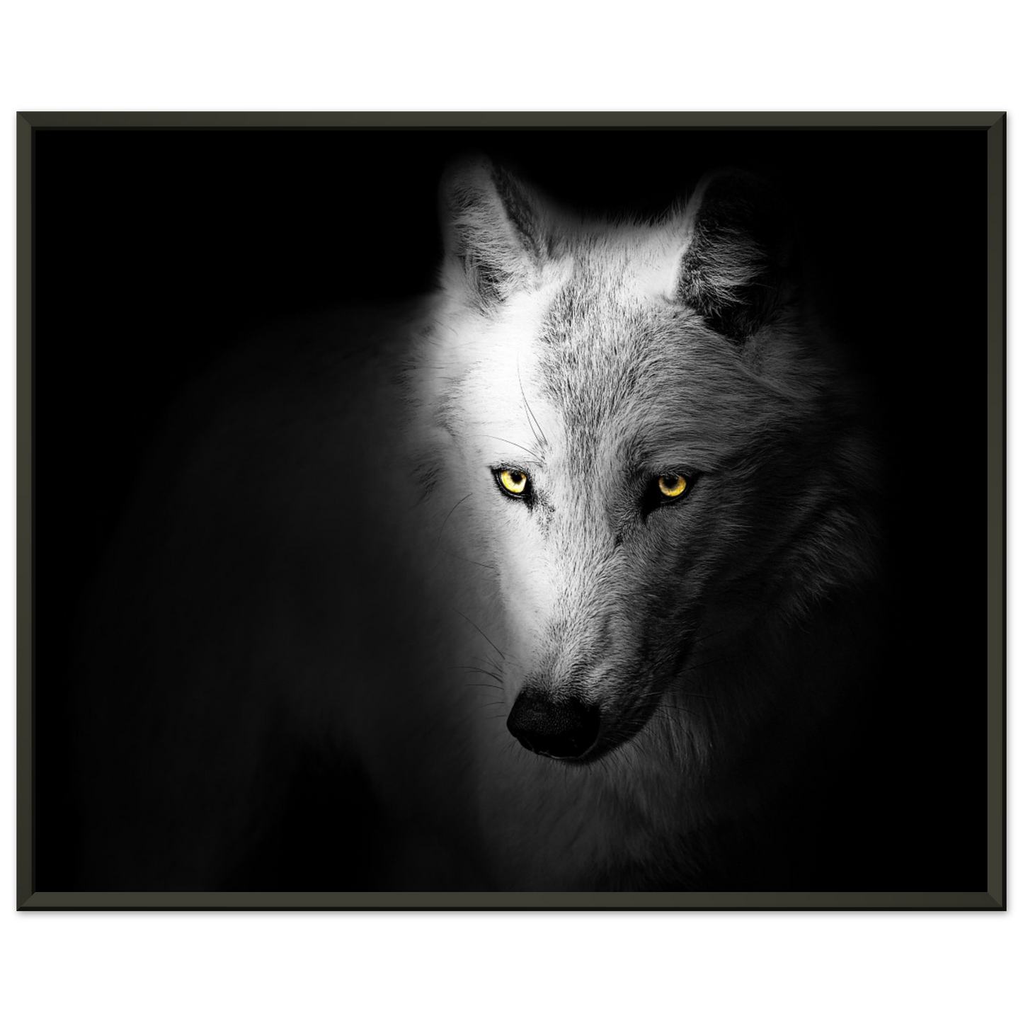 74eeb888-72f2-4dfe-96f4-892998bc61bc