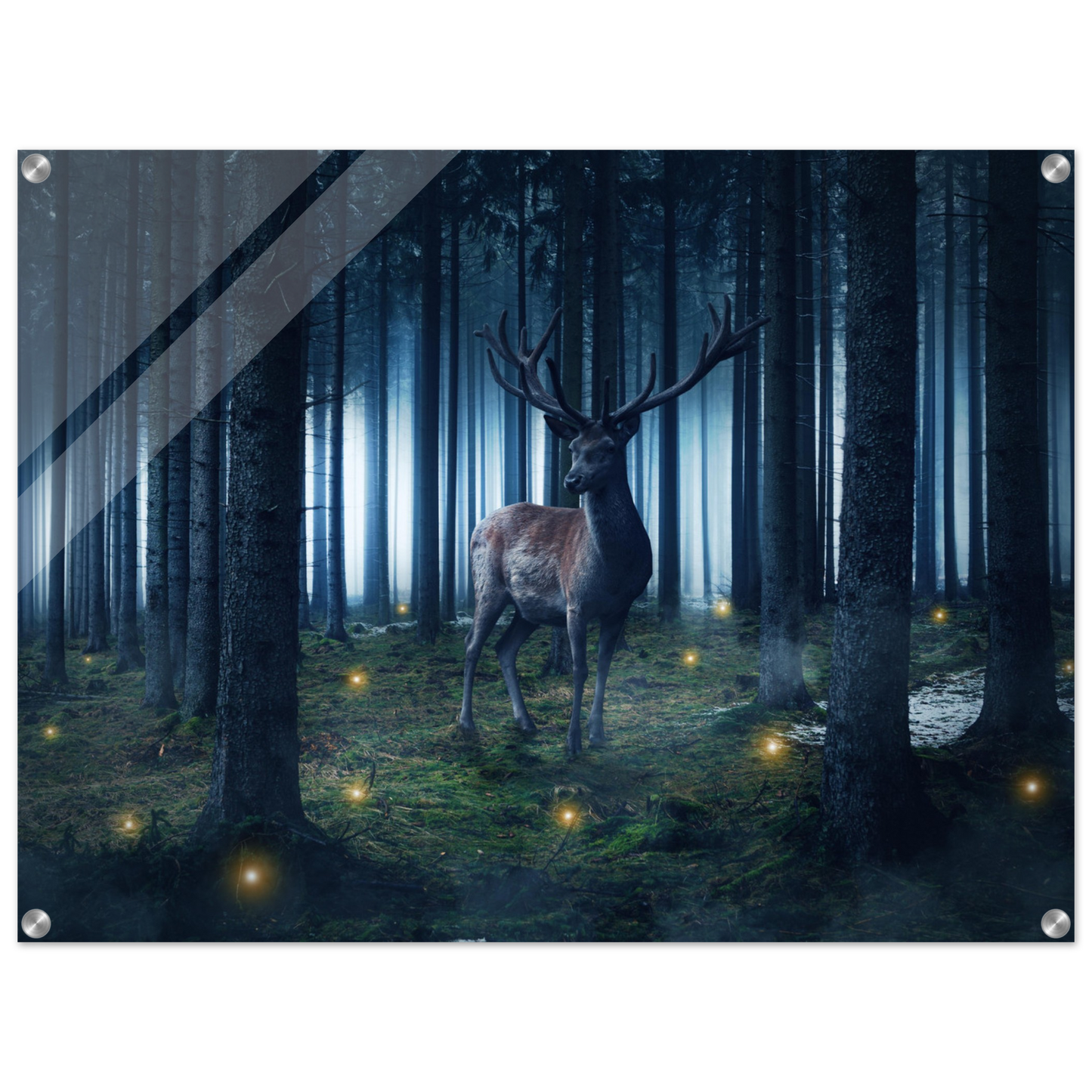 75910a32-248a-4faa-8df2-53b43db1a599
