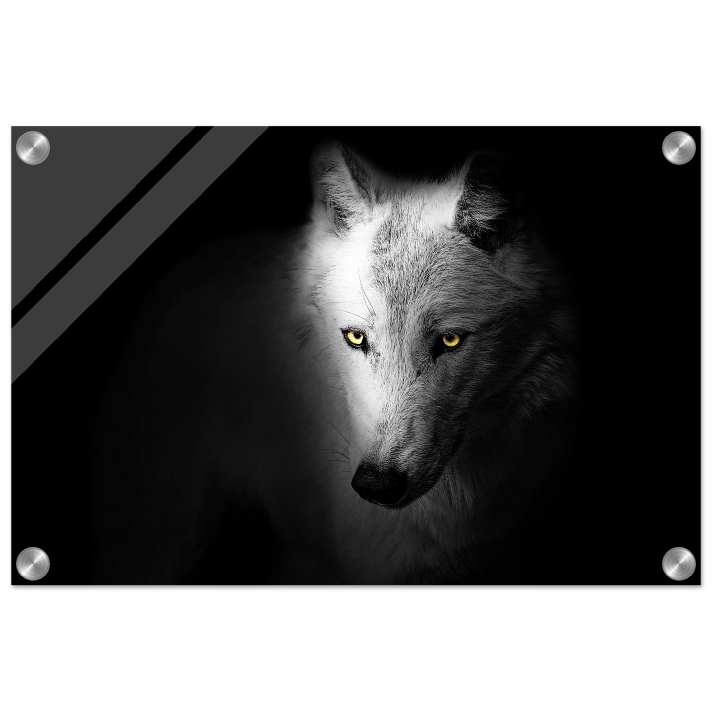 8b2ea908-0d35-4aff-a79f-30ef35d25c67
