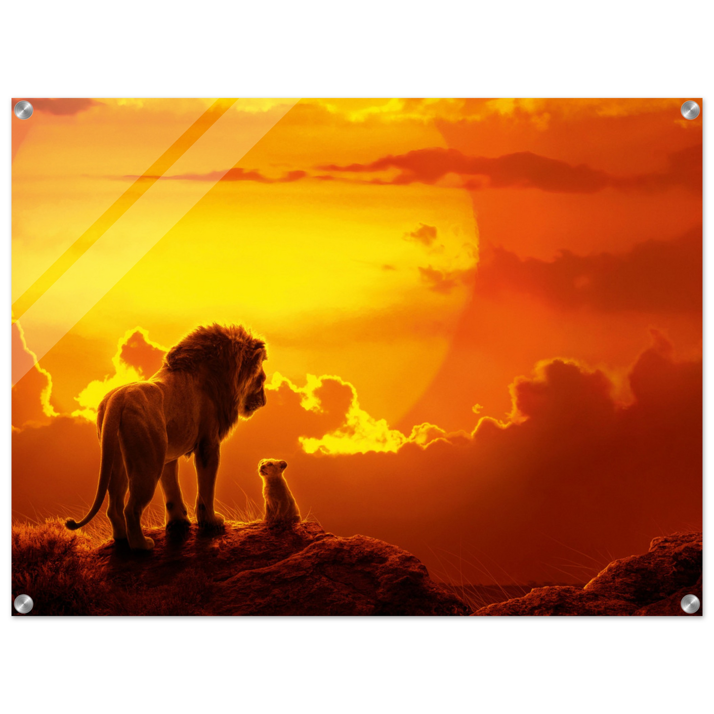 8b57006c-25f1-438f-a2dd-fc7e0002a233