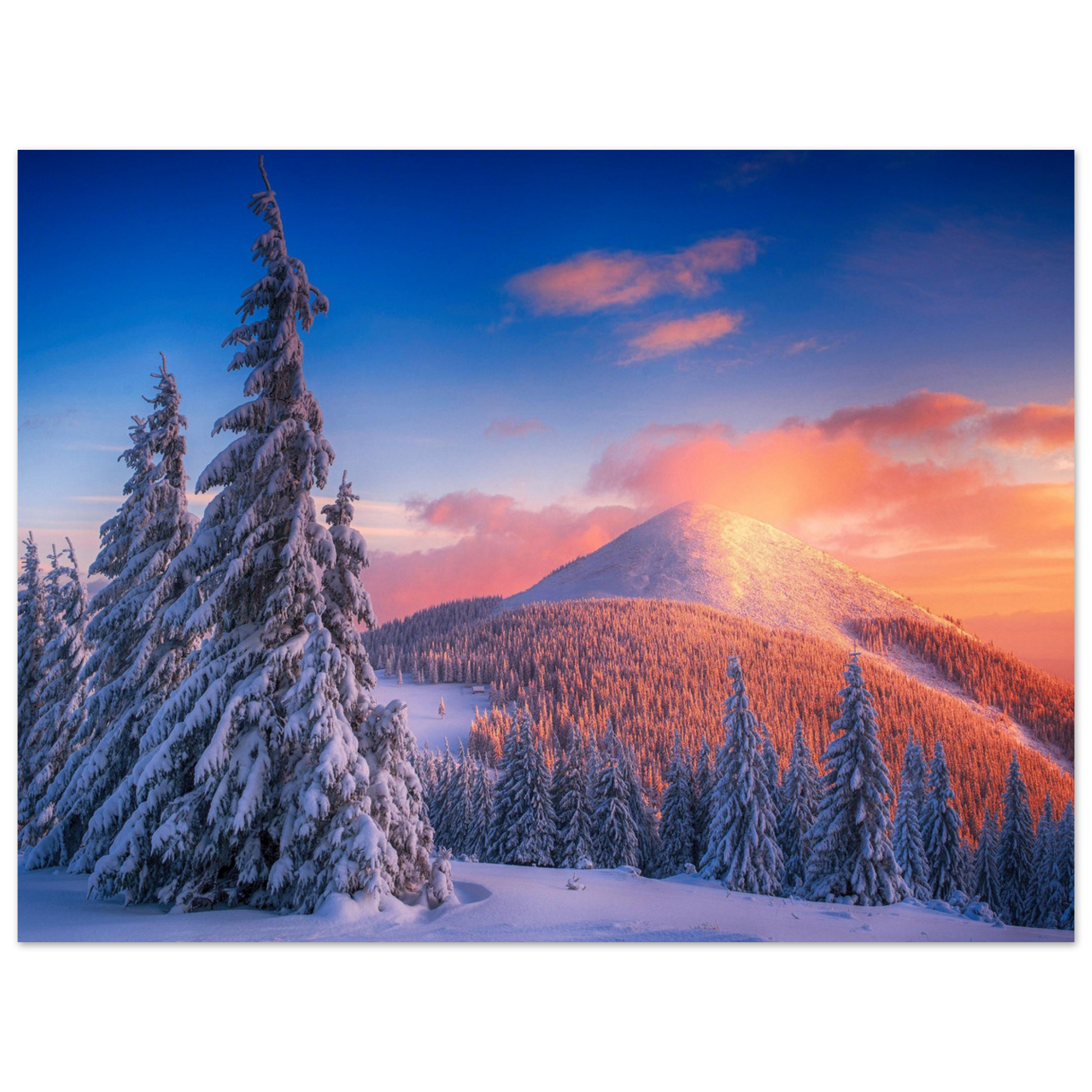 8cc79e53-debf-477b-ab0d-e21e7e436777