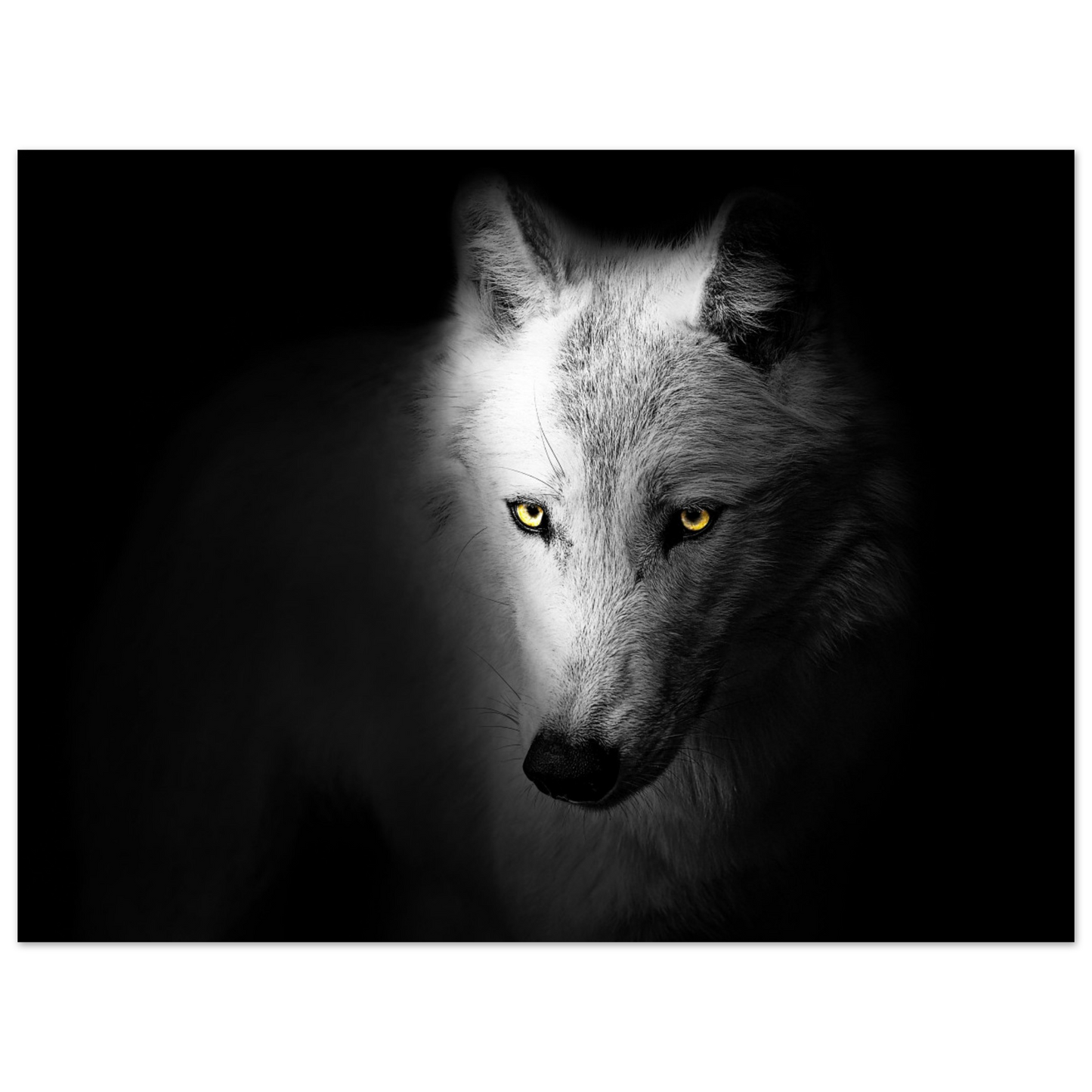b0bf231f-c933-4e41-a48e-f601e2451419