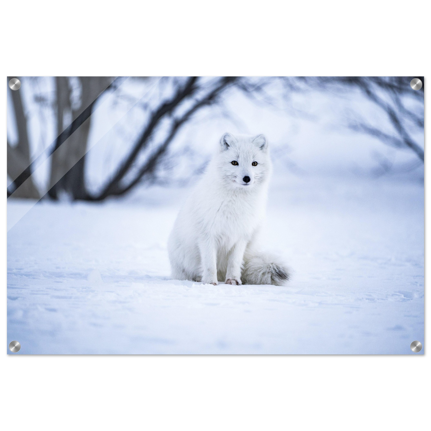 b9acbcff-5628-4214-a2fd-1f2634602ad3