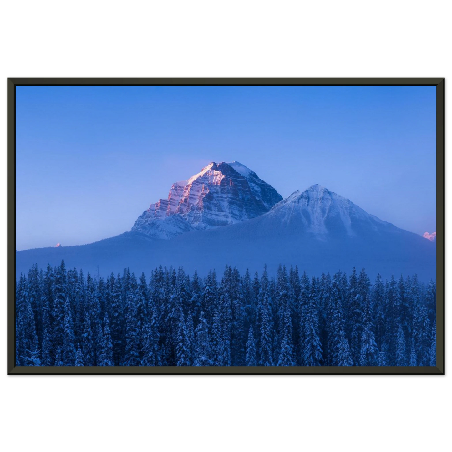 c2808fbf-b005-409e-aa8d-a39f315e7cd9