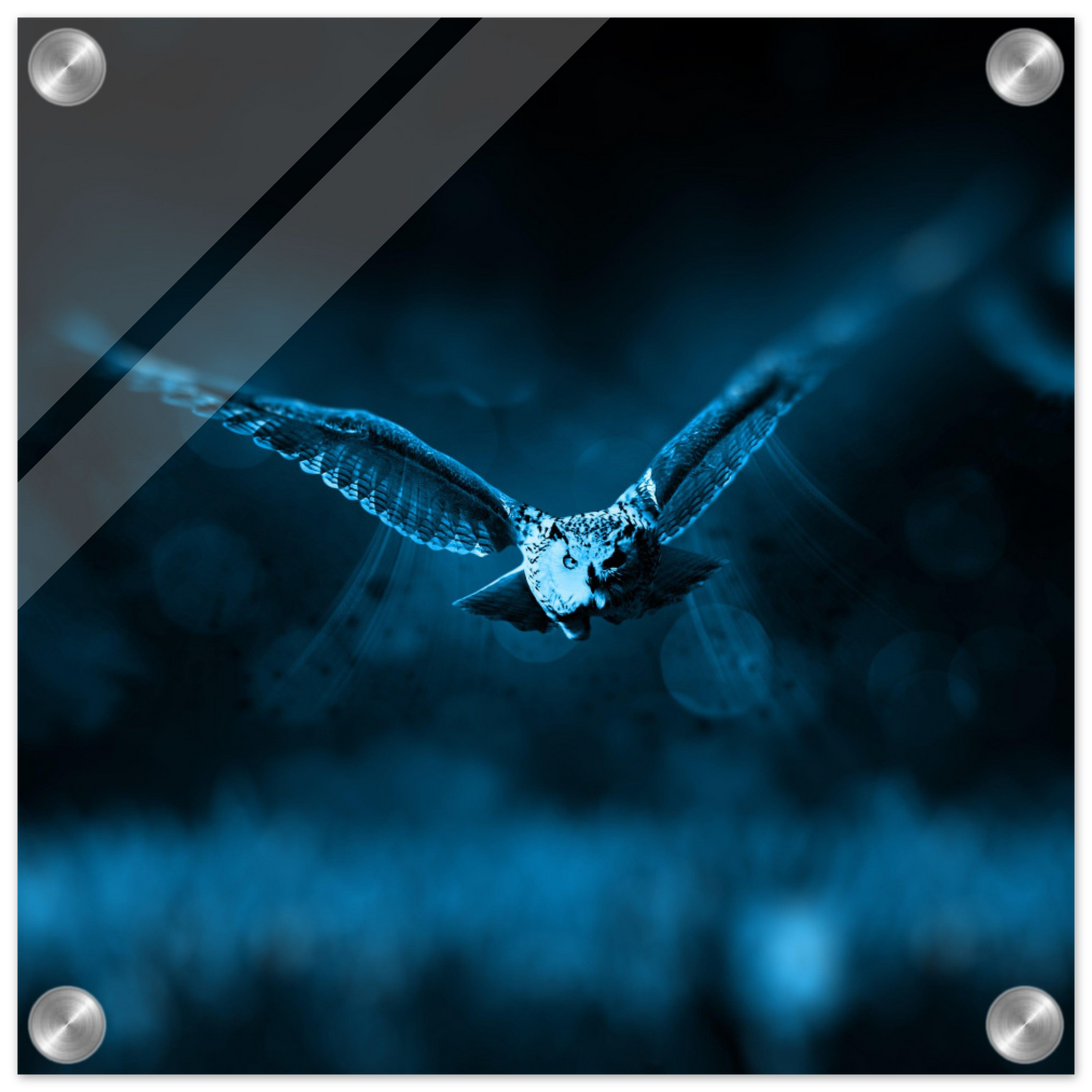 d139c0eb-0645-41d7-8ae4-fae96eaaec4c