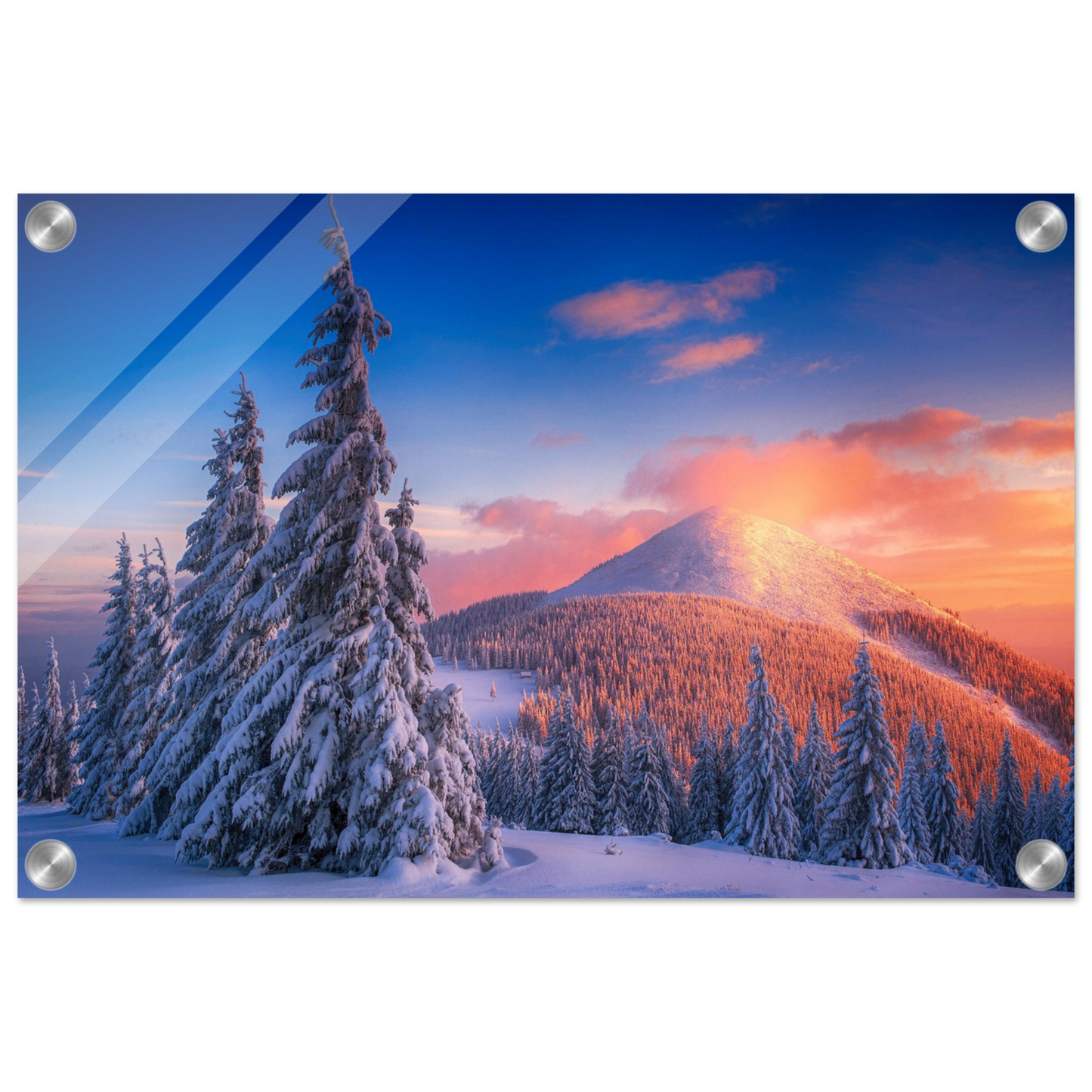 d2bf8d76-891b-4092-90e6-662ce0f904ed