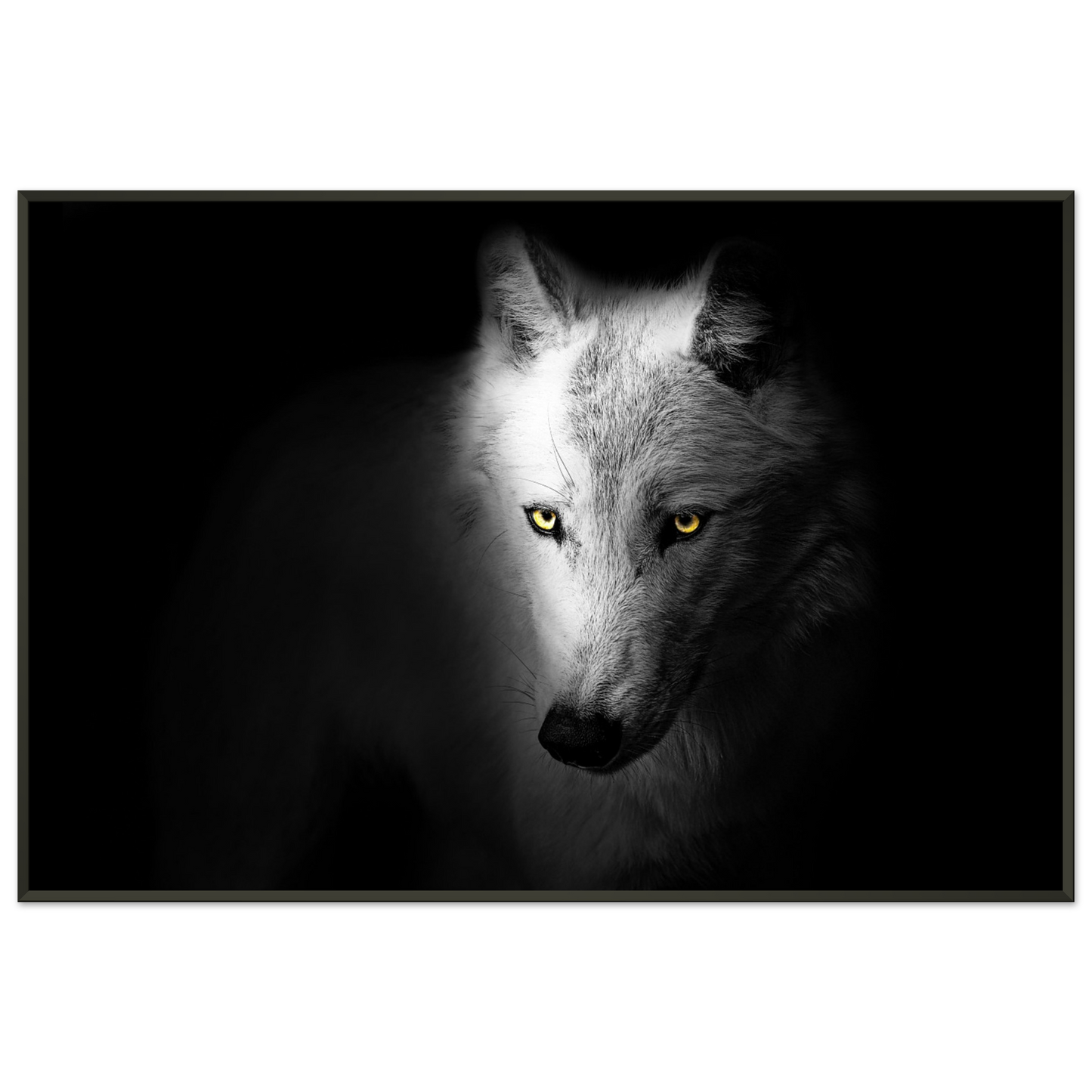 df5fea49-e6fa-4187-9b51-33a5e9af4ed6