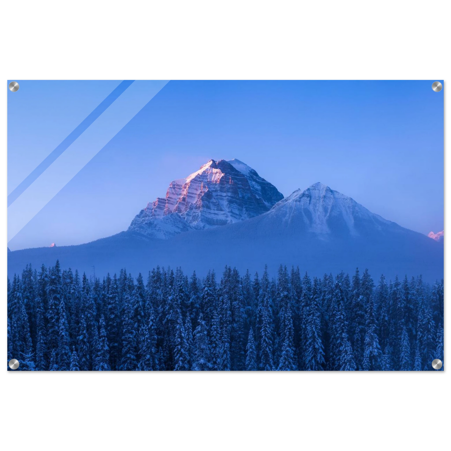 e79c92c1-eee0-4323-88c9-d0c98bbdcbd8