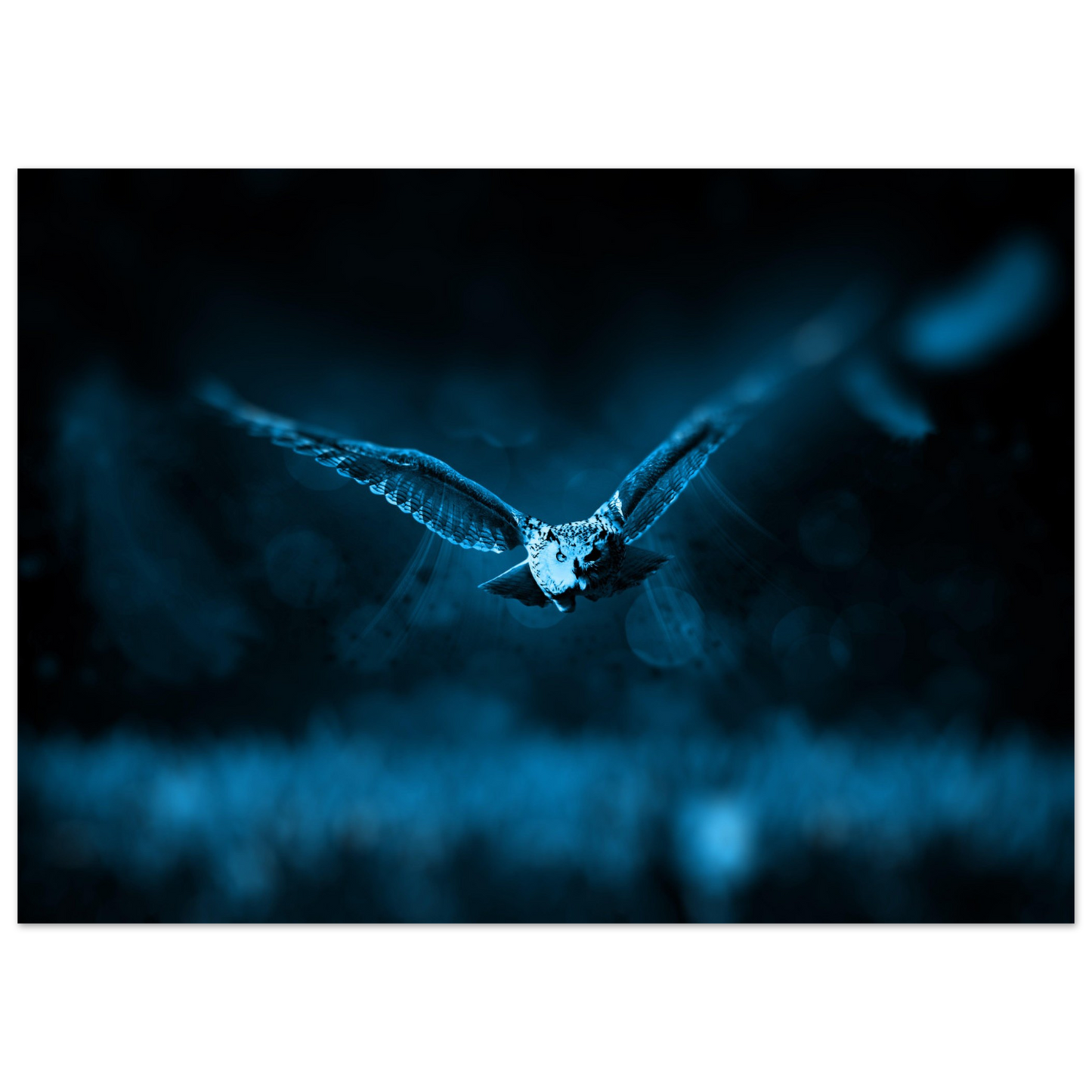 e7c63599-1ba0-43d8-aa55-e67b2256697e