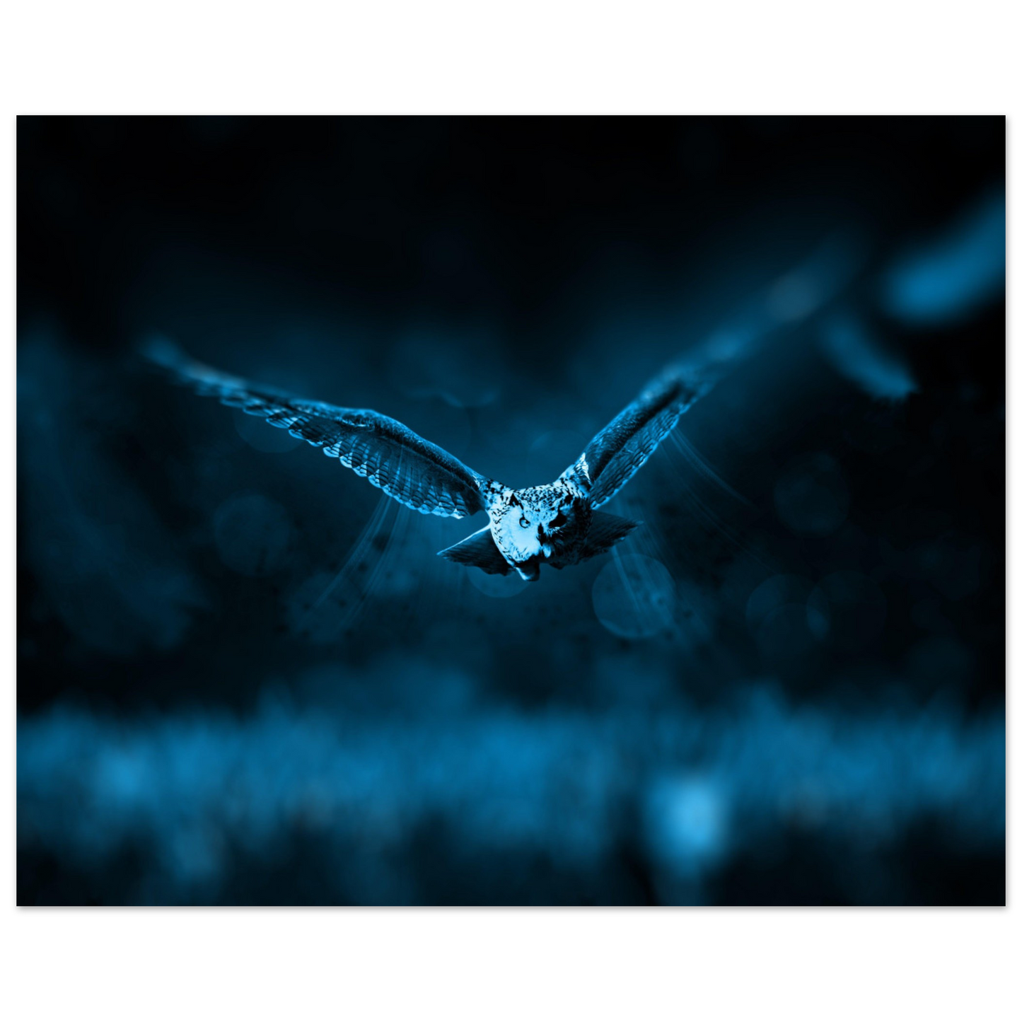 f048a55b-d868-4c34-8c87-9a913ec8195e