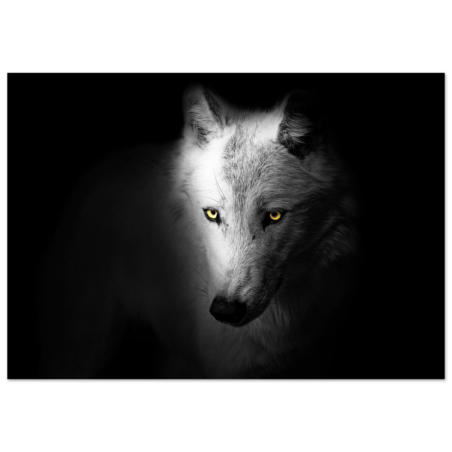 f425a716-fc88-41ce-8962-9e4e5b818705