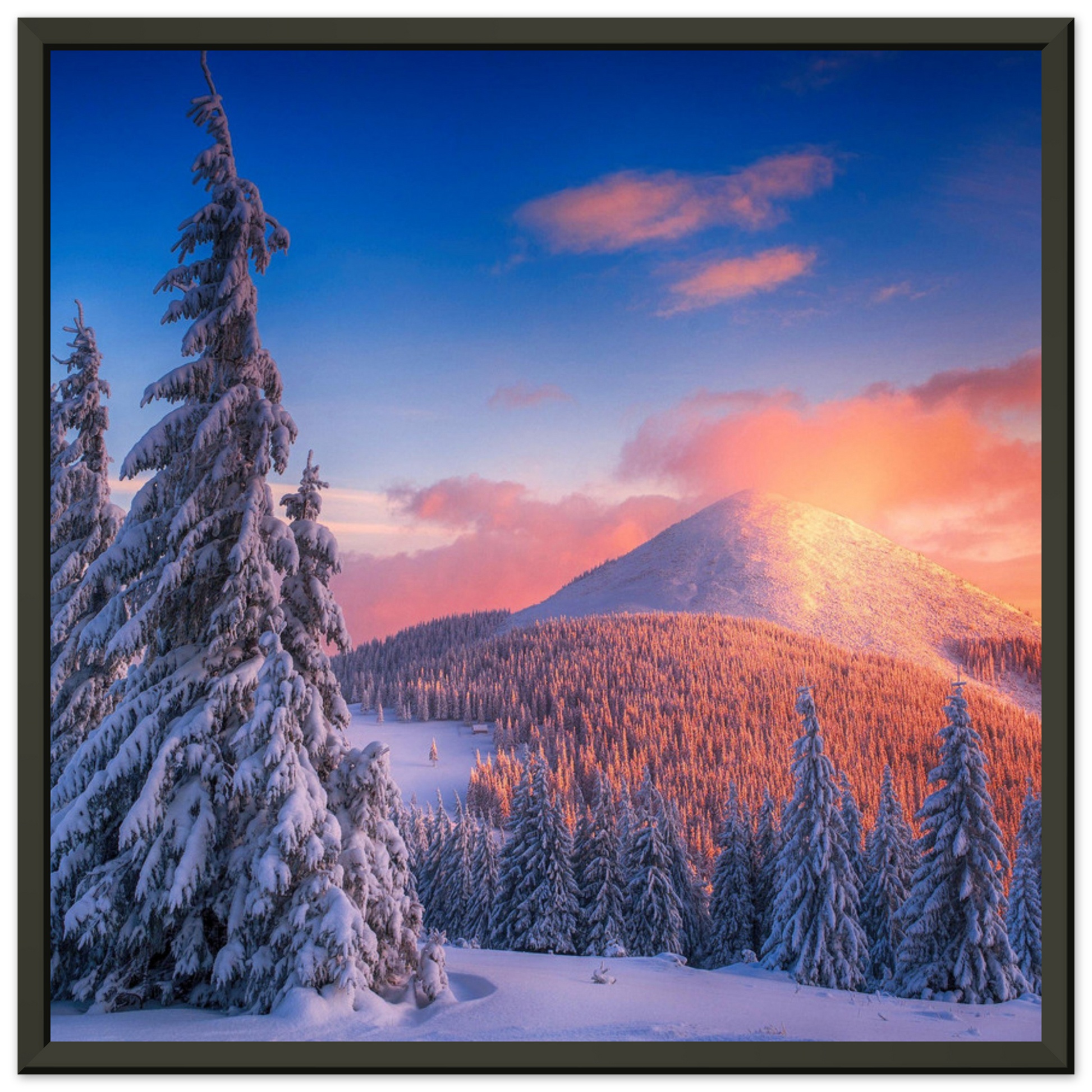 fe2ca7af-a428-46b4-82e9-c85ed3ee94d0