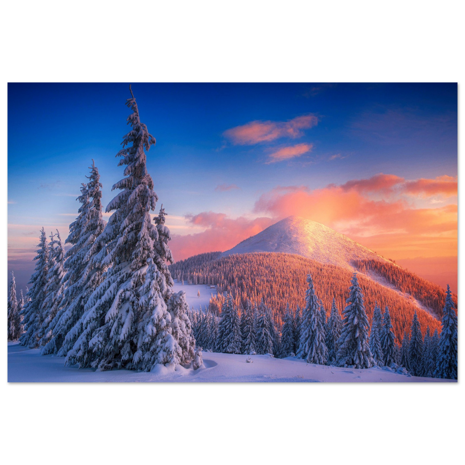 06d0ff81-477a-4f27-8782-d776f032d929