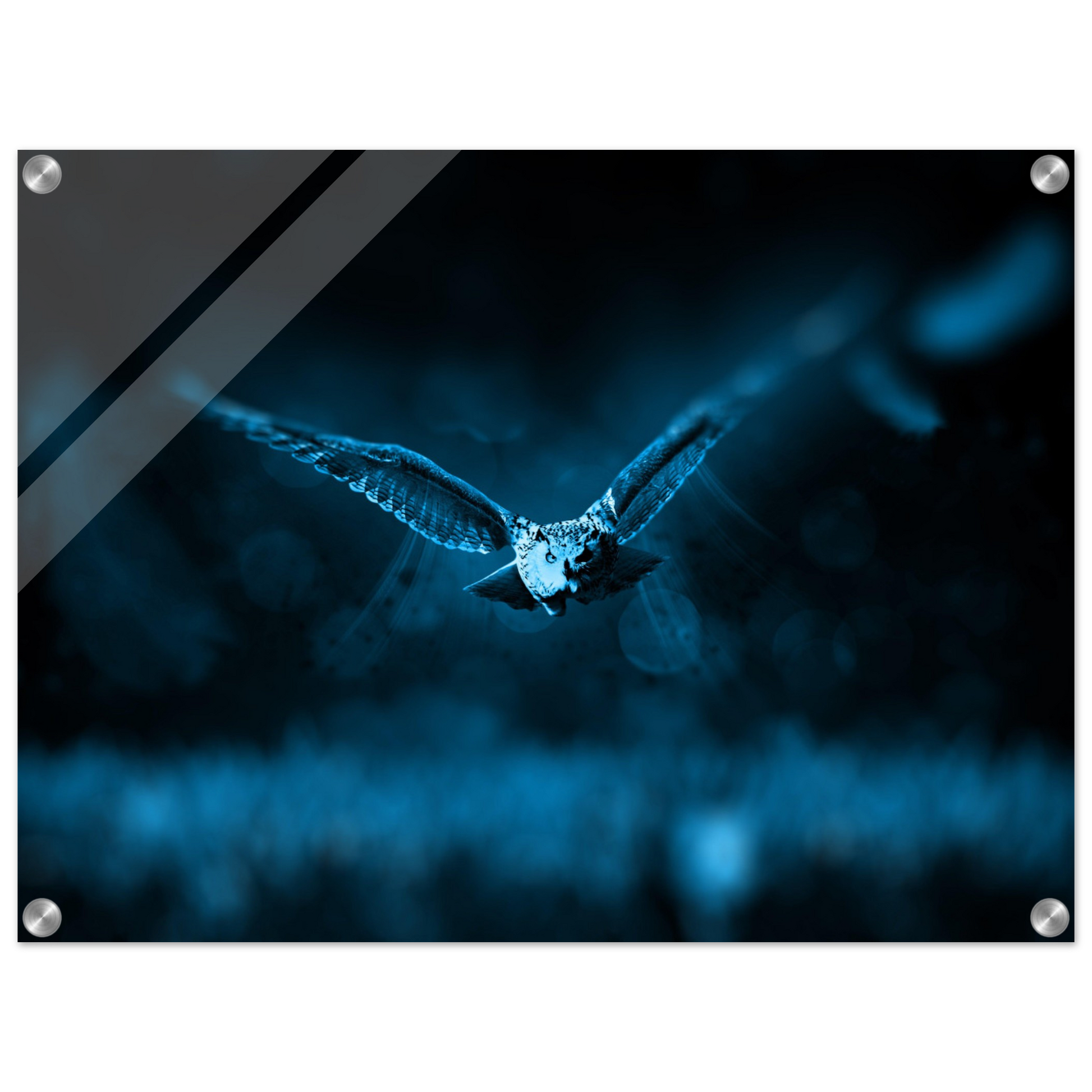 0dd60c24-3d82-4ec8-a544-9e77afd4900d