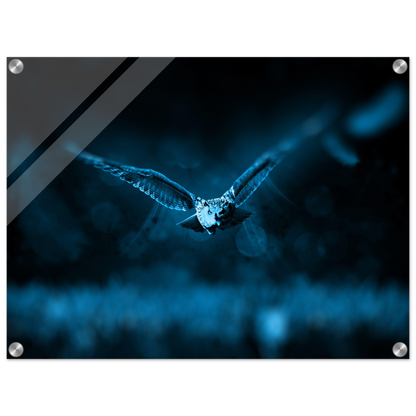 0dd60c24-3d82-4ec8-a544-9e77afd4900d