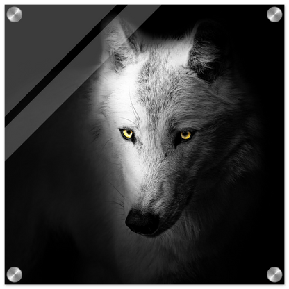 0f3efa28-b358-4941-be9a-a5af1b96731d