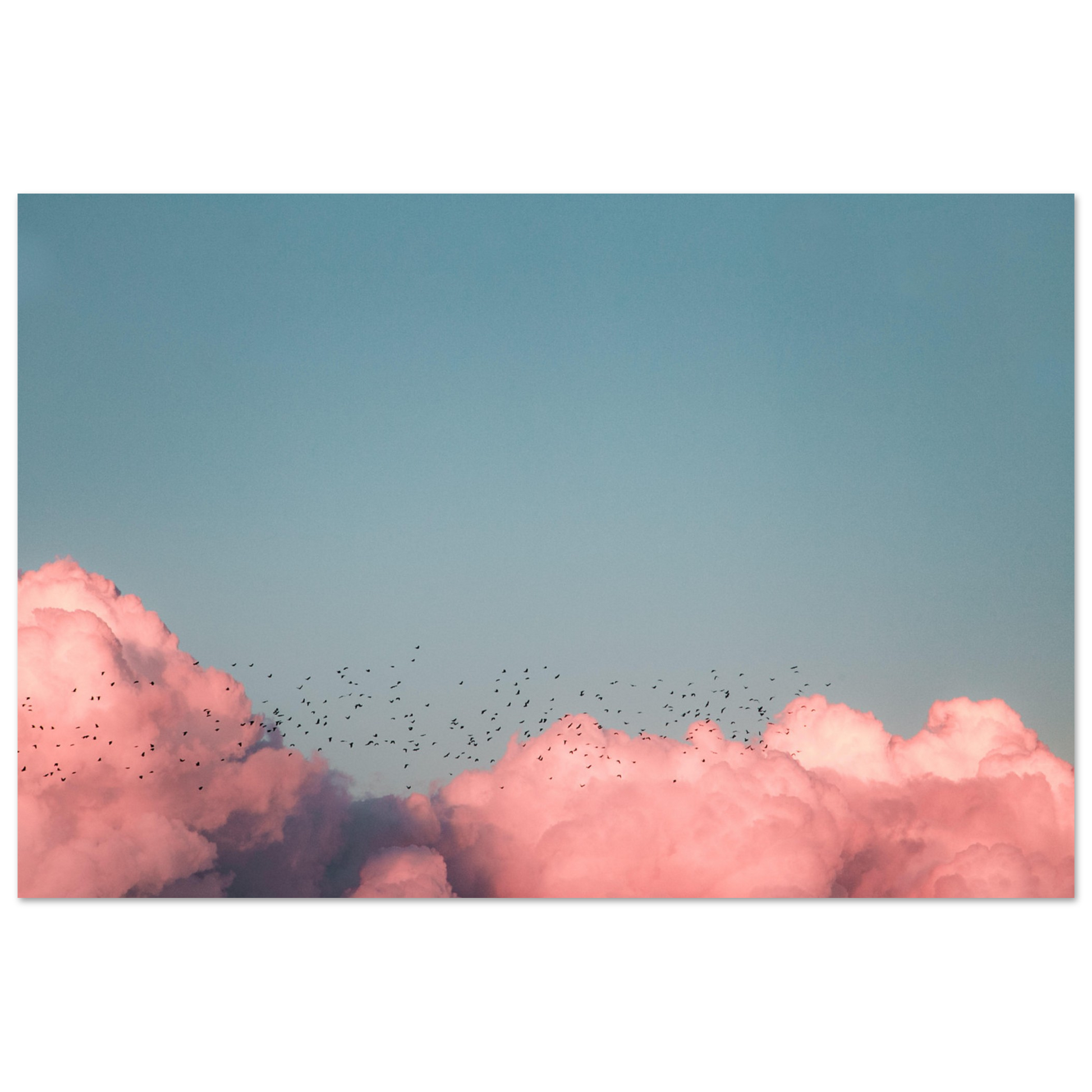 203b82a4-4f01-4ab7-b1ed-cfcc836edbb9
