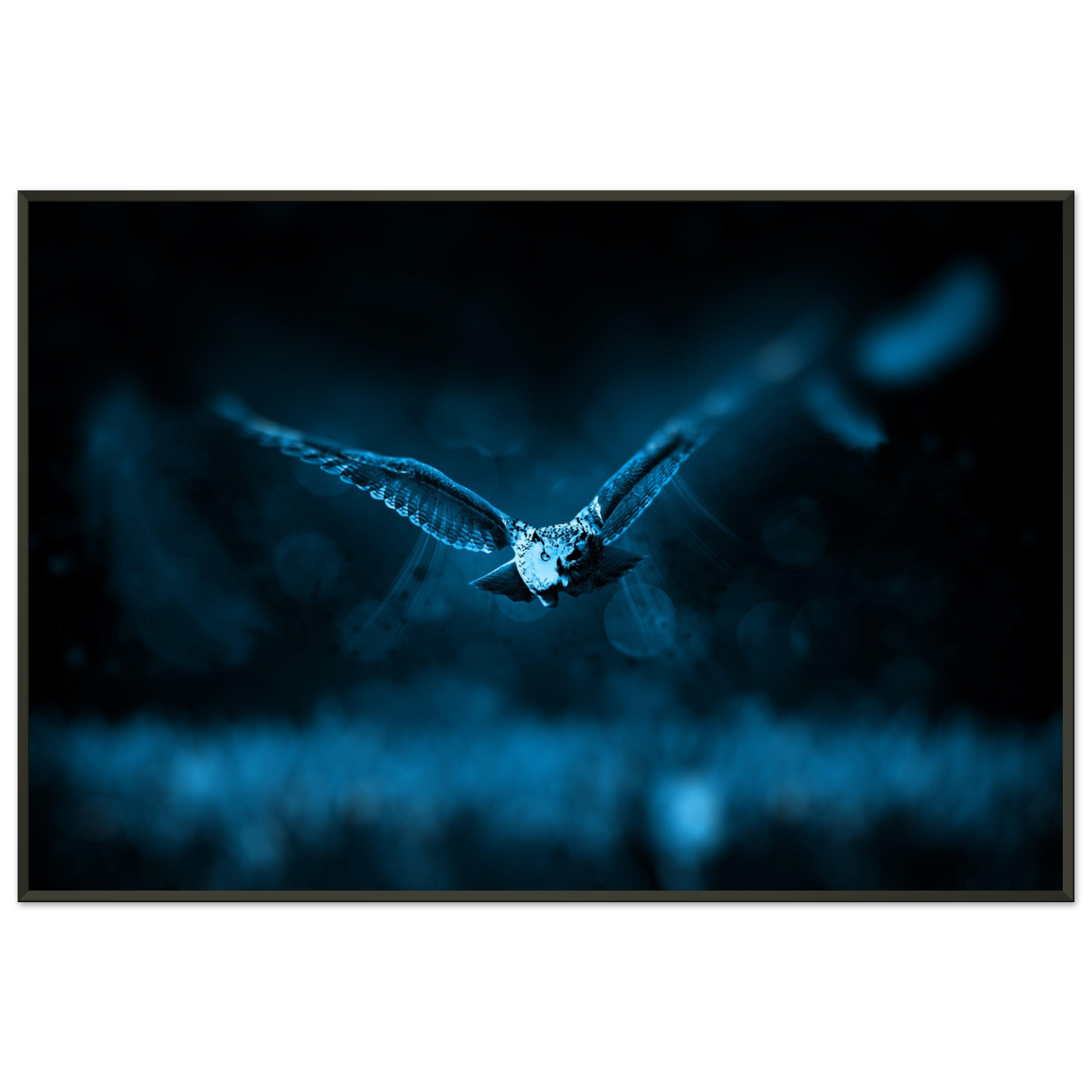 20c33e16-dd25-4bf2-b75d-792620372c45