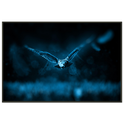 20c33e16-dd25-4bf2-b75d-792620372c45