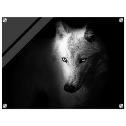 2c8acaee-2927-40d4-8393-74dc8379e76f
