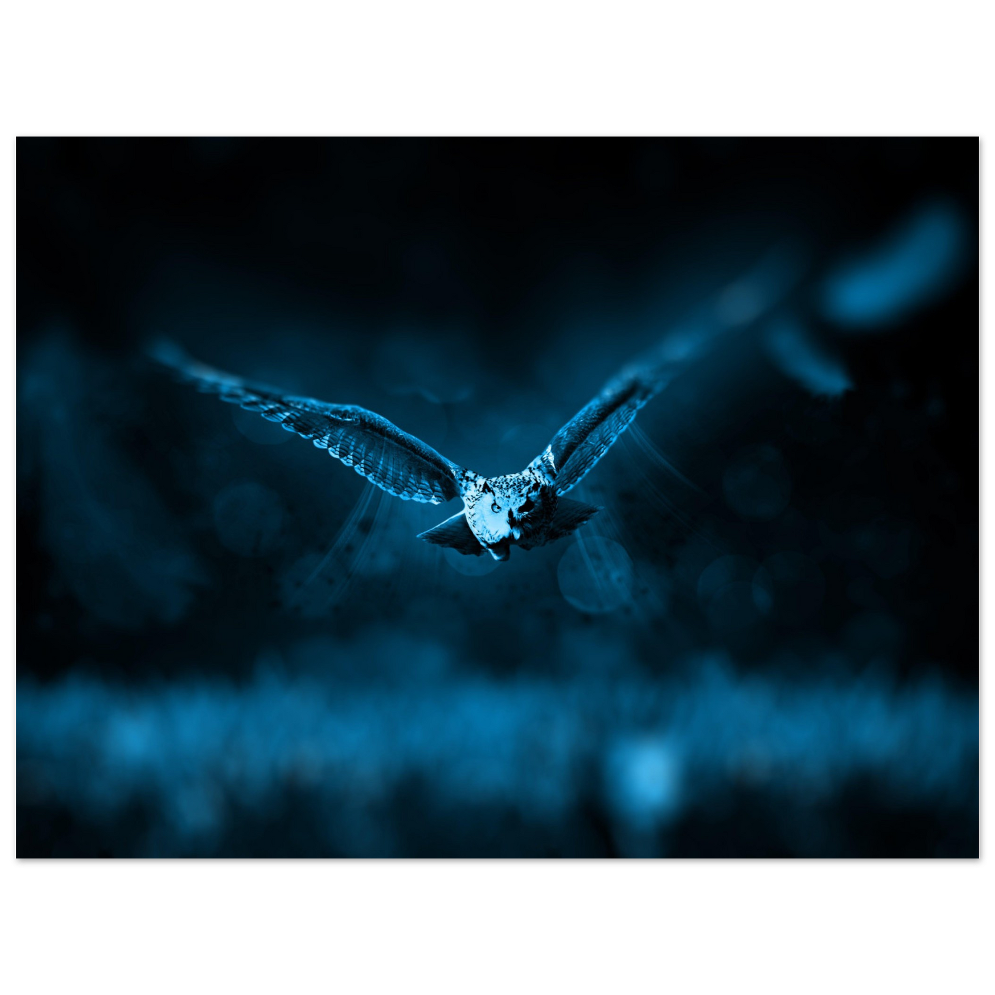 2f4129ef-3031-4556-a290-b346502f4ba0