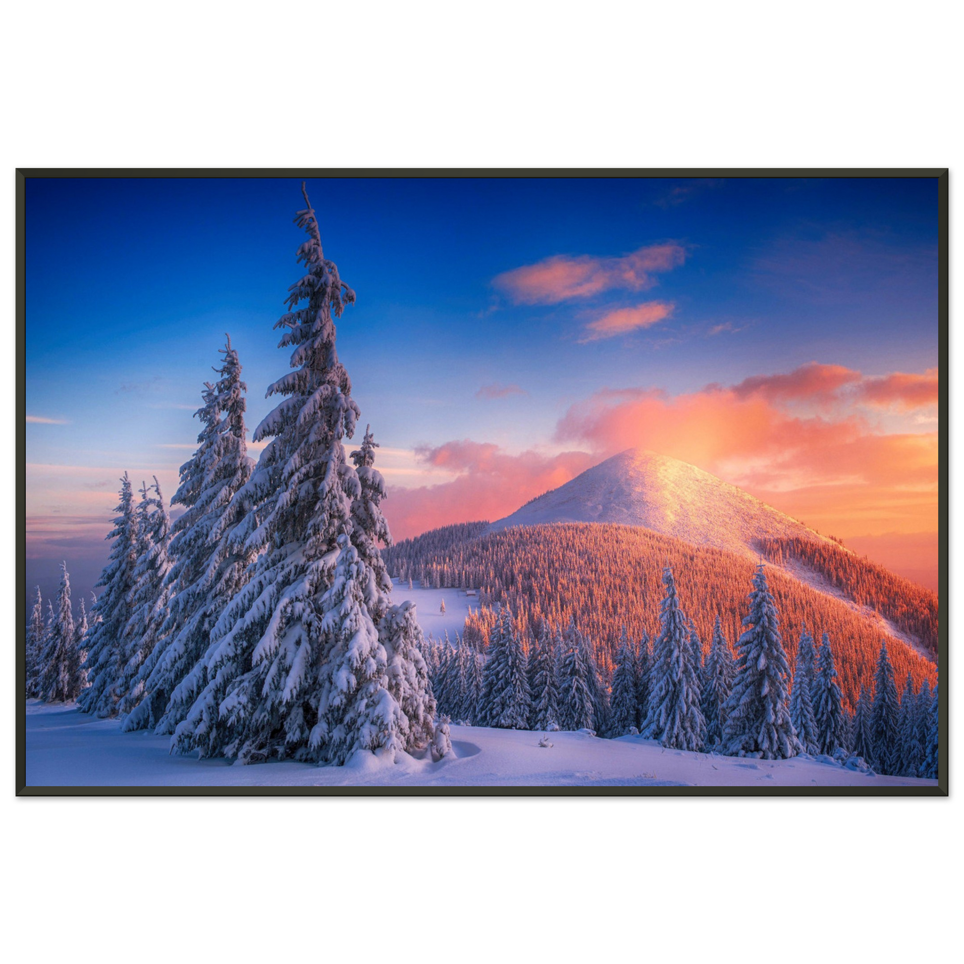 40320f5d-1f93-4bff-b1c5-f2c5c685c047