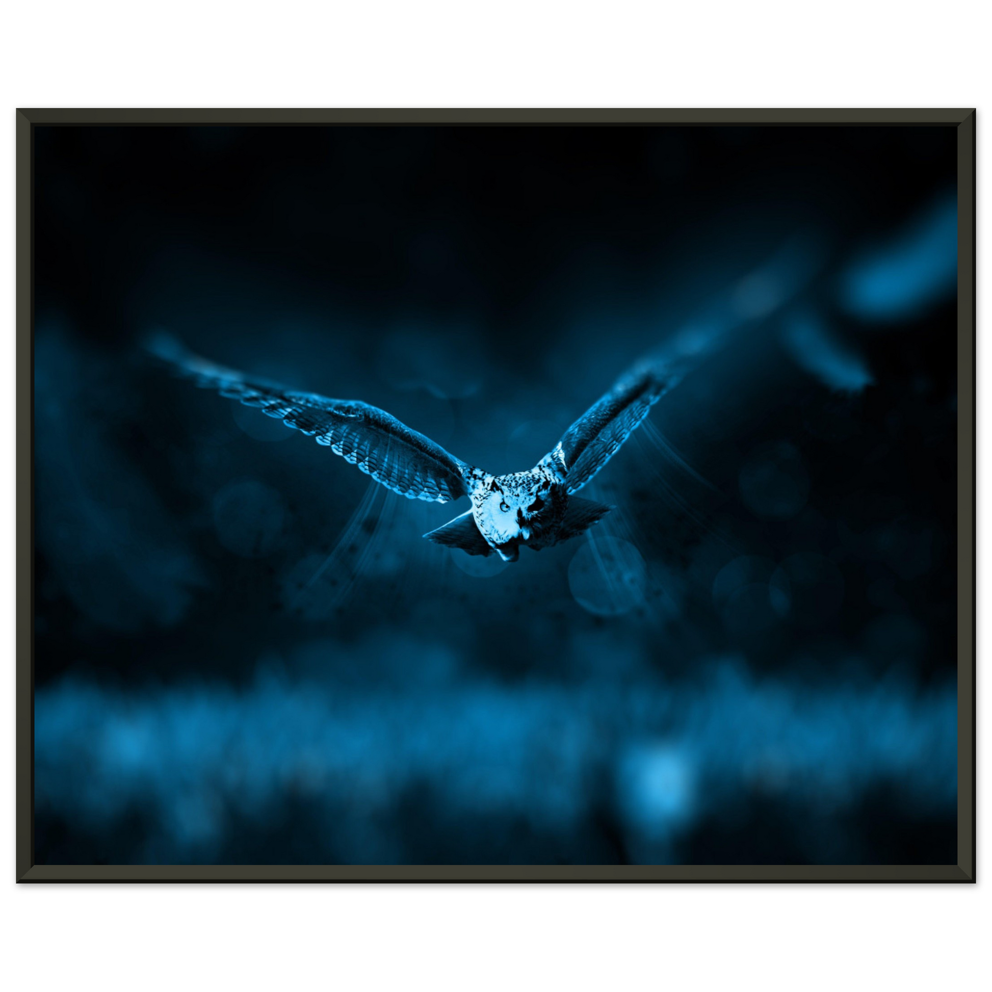 441e6183-f288-4095-a62d-2e5d1d5c731a